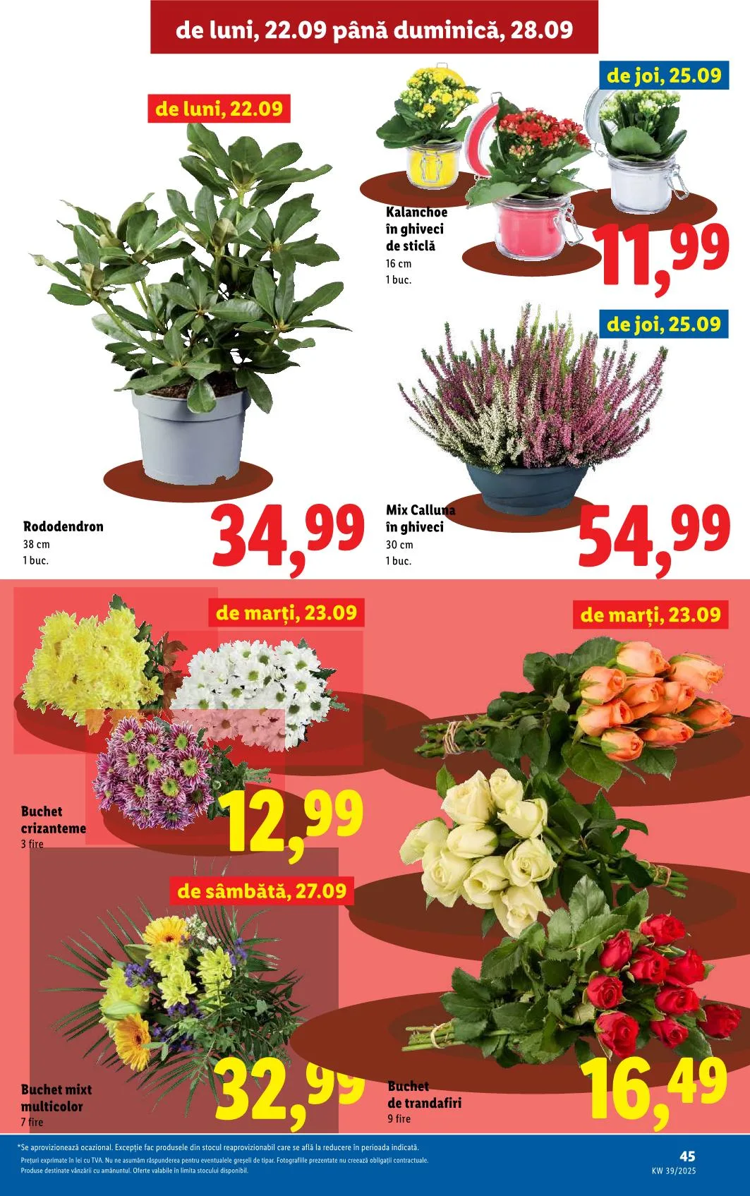 Lidl akciós újság Románia 09.22–09.28 – 40. oldal