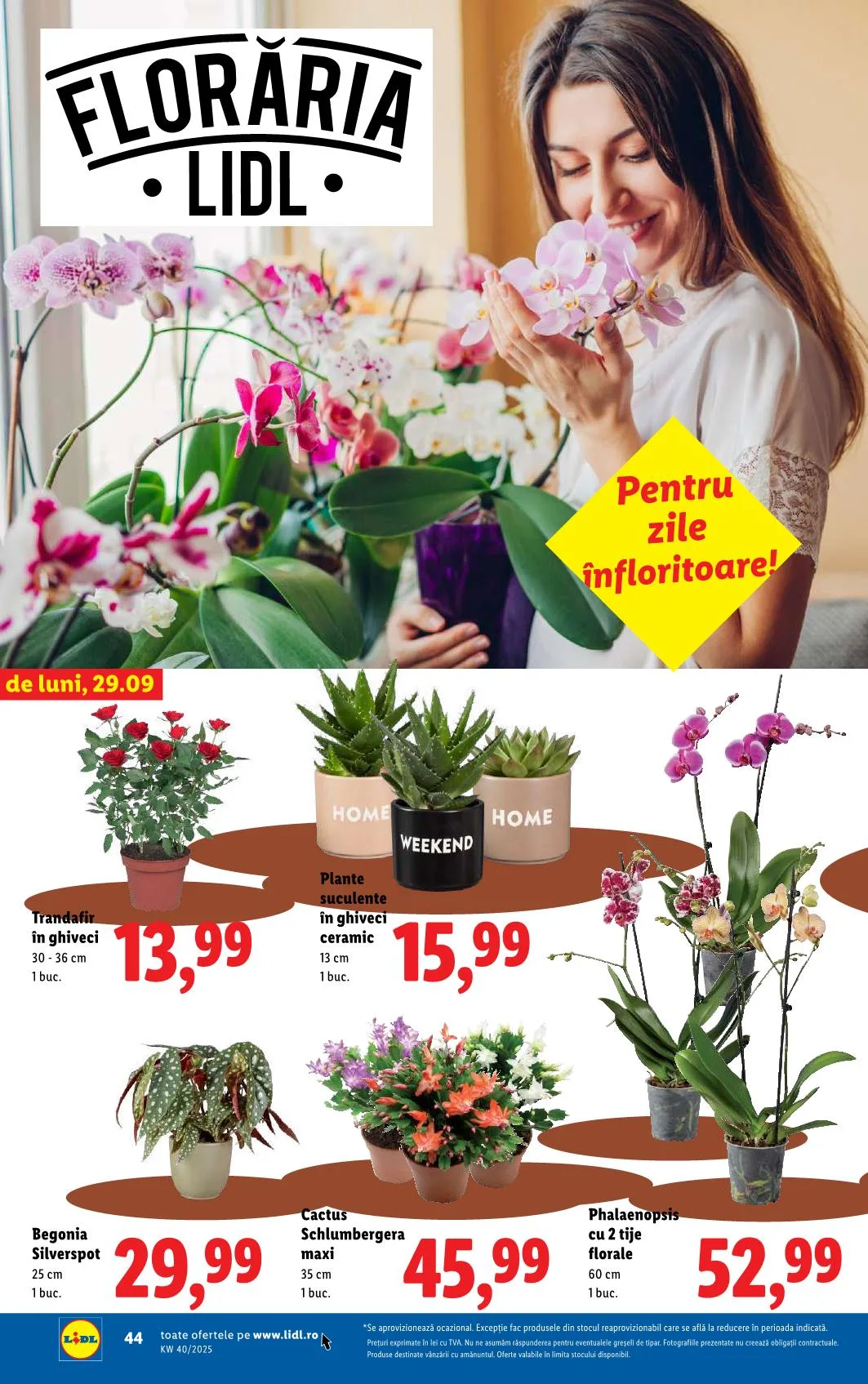 Lidl akciós újság Románia 09.29–10.05 – 39. oldal