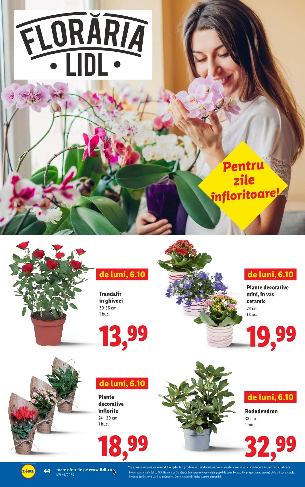 Lidl akciós újság Románia 10.06–10.12 – 39. oldal