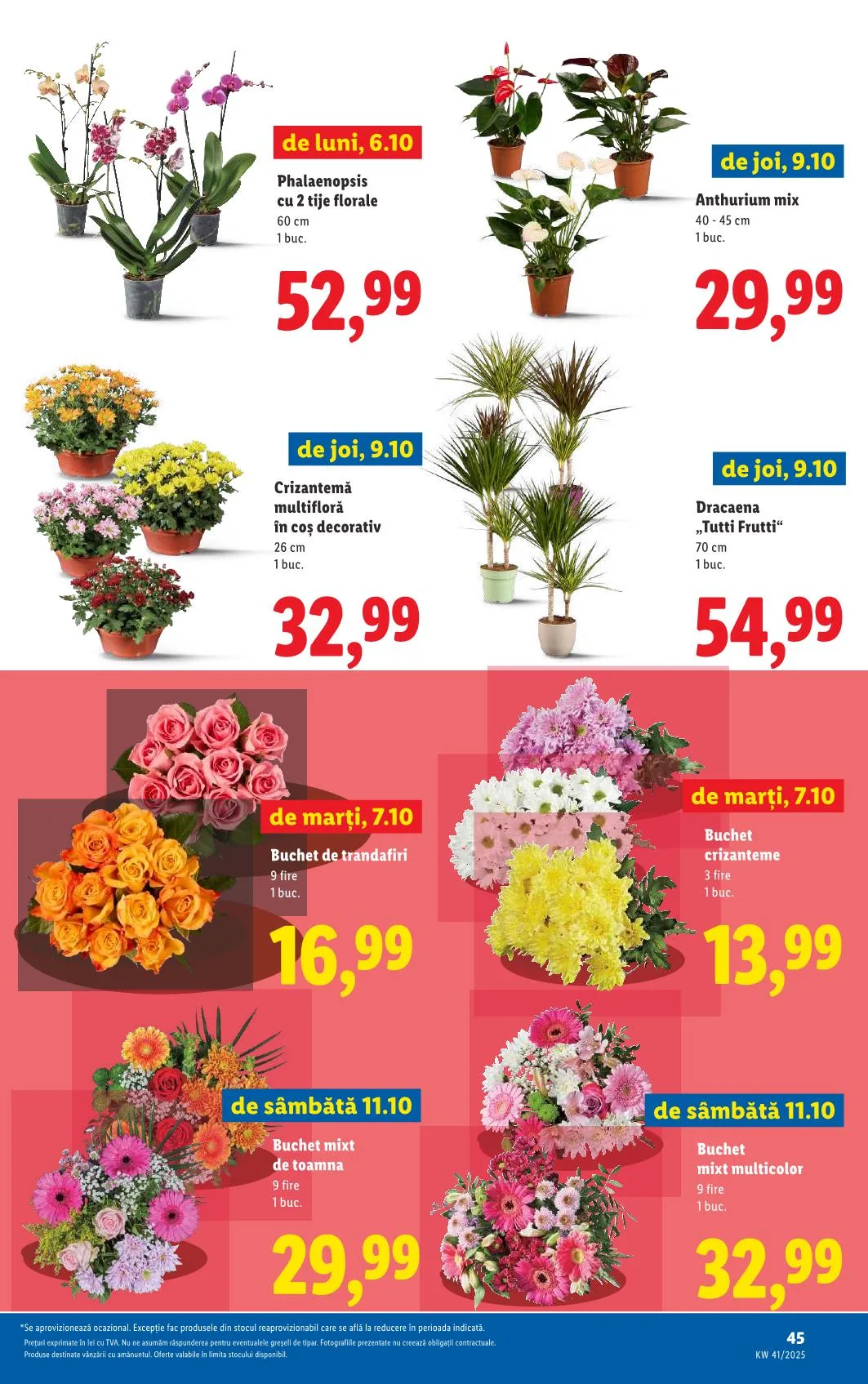 Lidl akciós újság Románia 10.06–10.12 – 40. oldal
