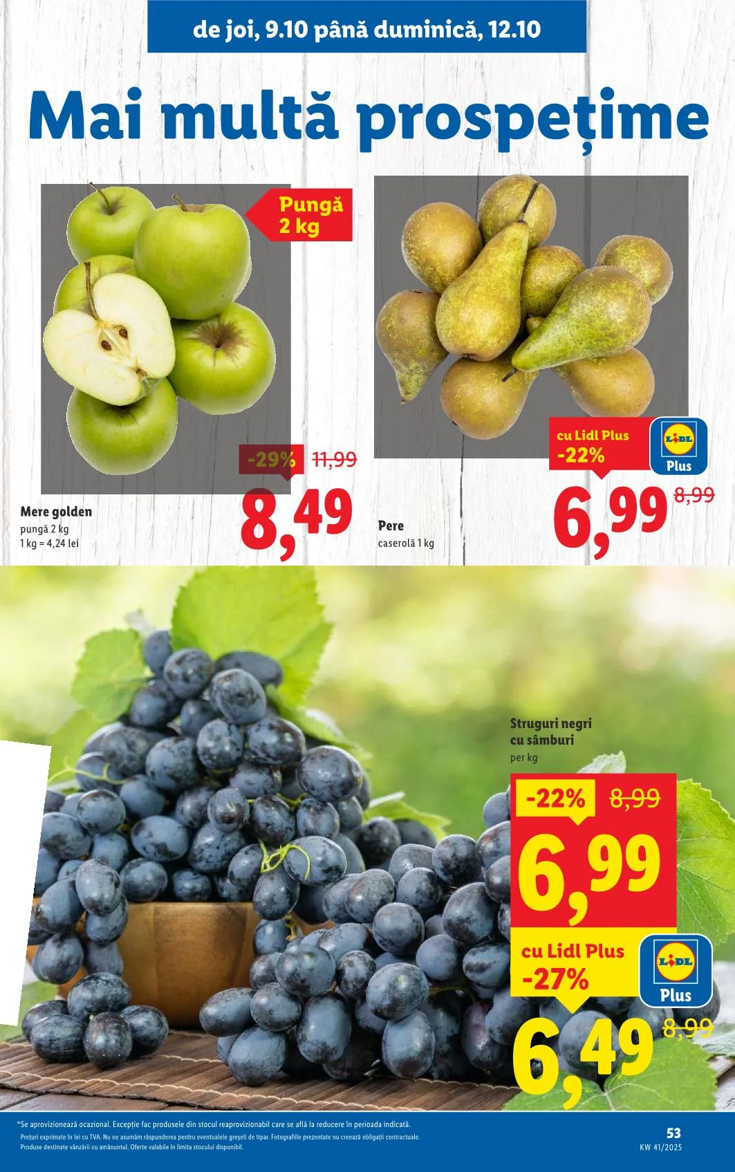 Lidl akciós újság Románia 10.06–10.12 – 49. oldal
