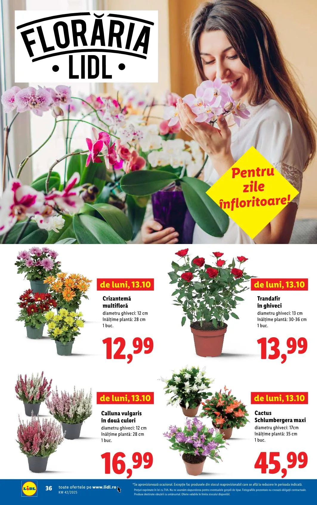 Lidl akciós újság Románia 10.13–10.19 – 30. oldal