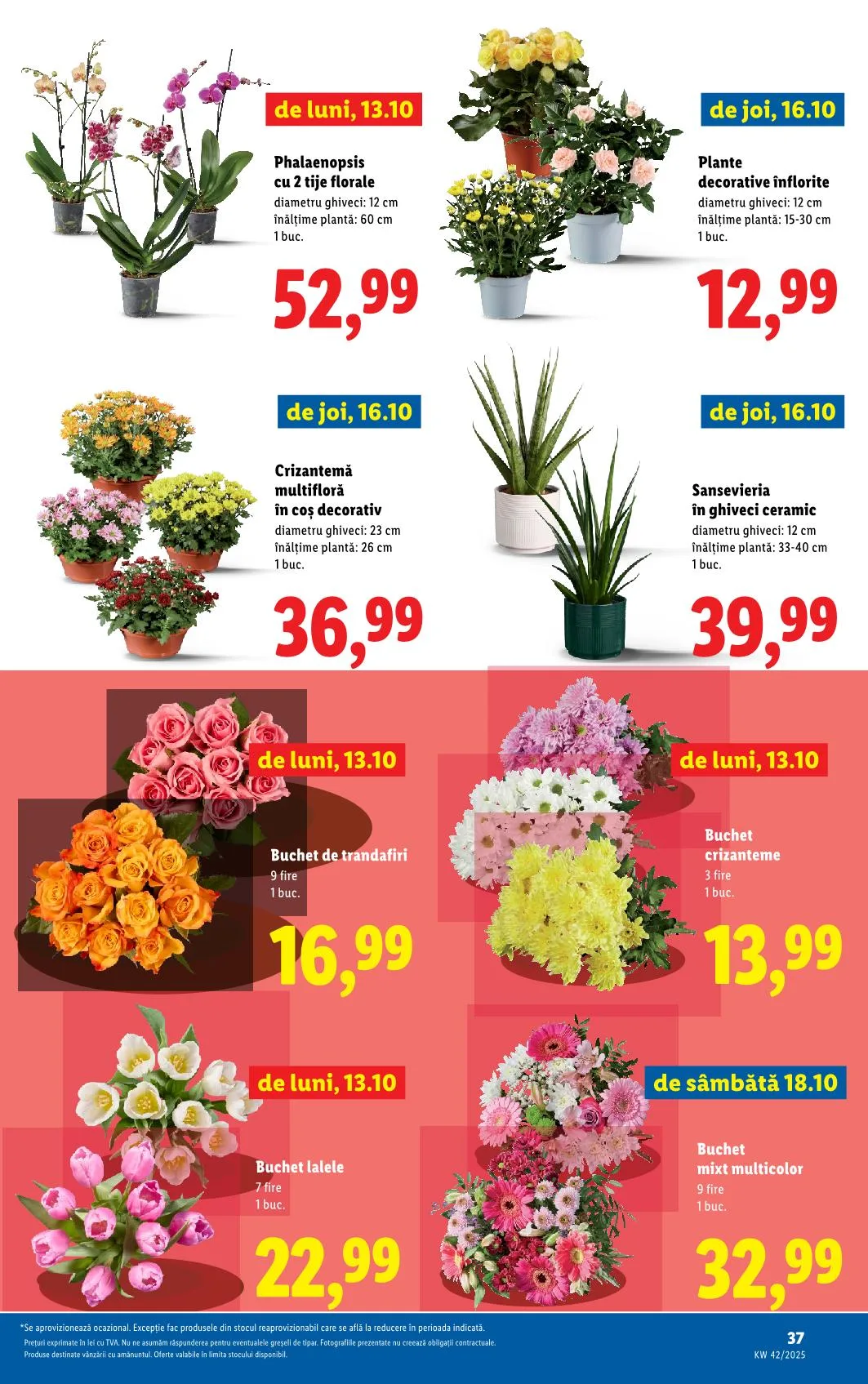 Lidl akciós újság Románia 10.13–10.19 – 31. oldal