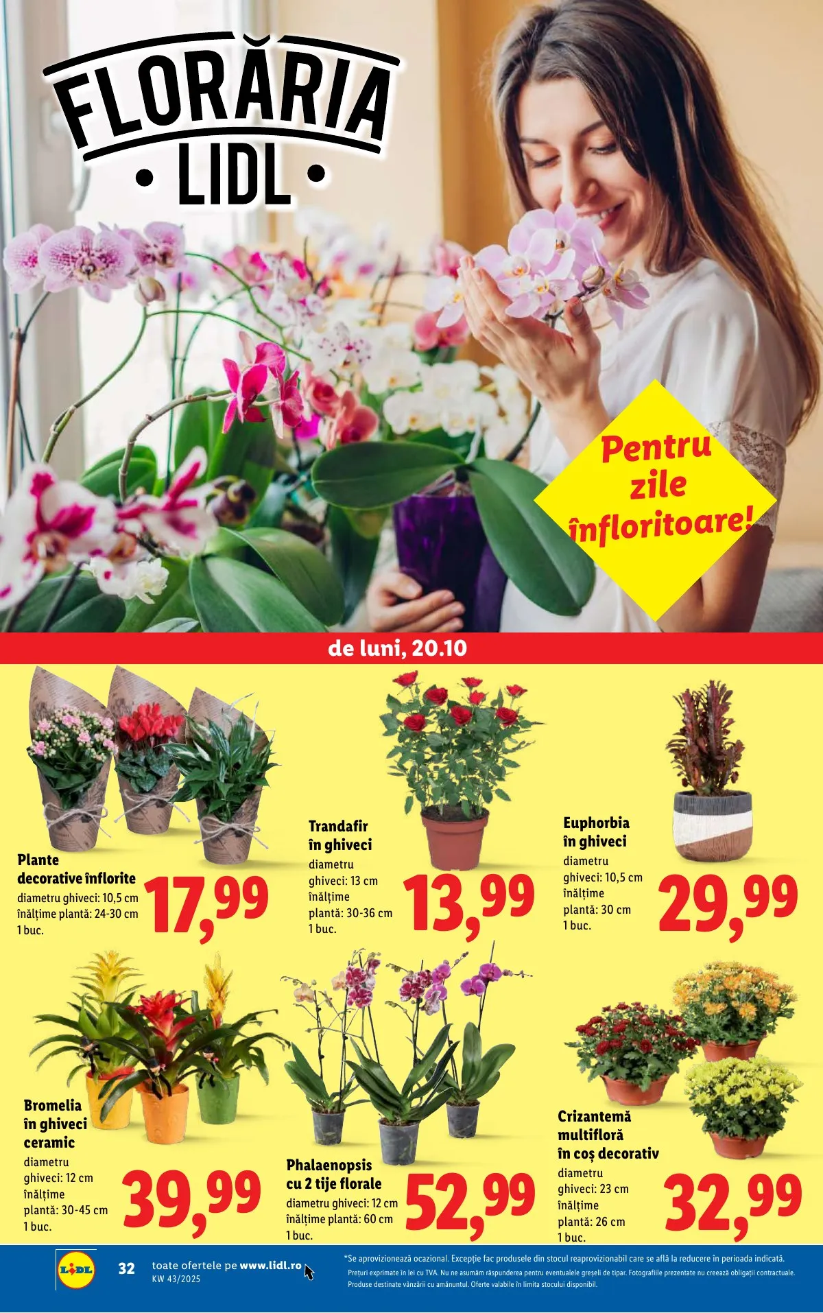 Lidl akciós újság Románia 10.20–10.26 – 32. oldal