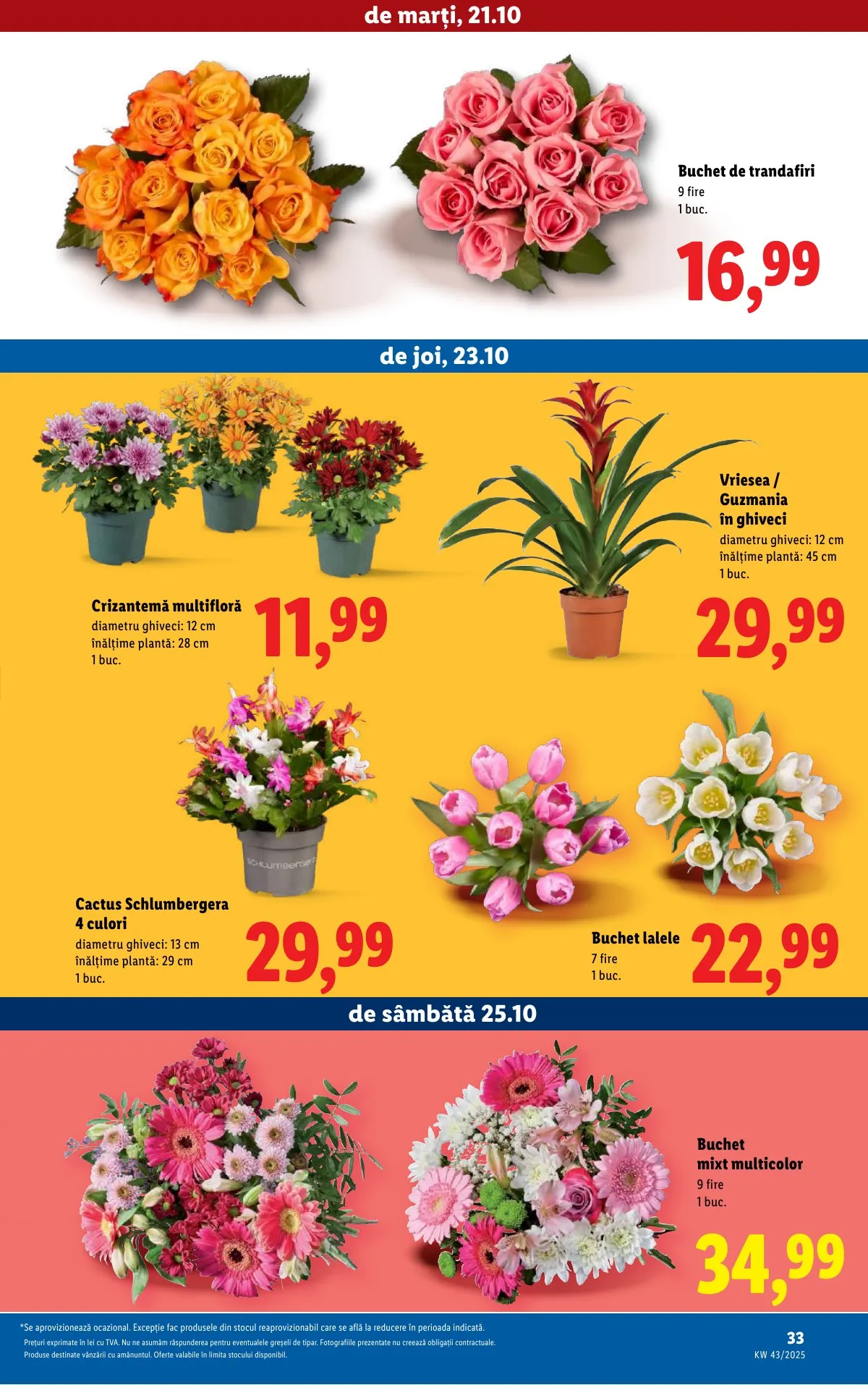 Lidl akciós újság Románia 10.20–10.26 – 33. oldal