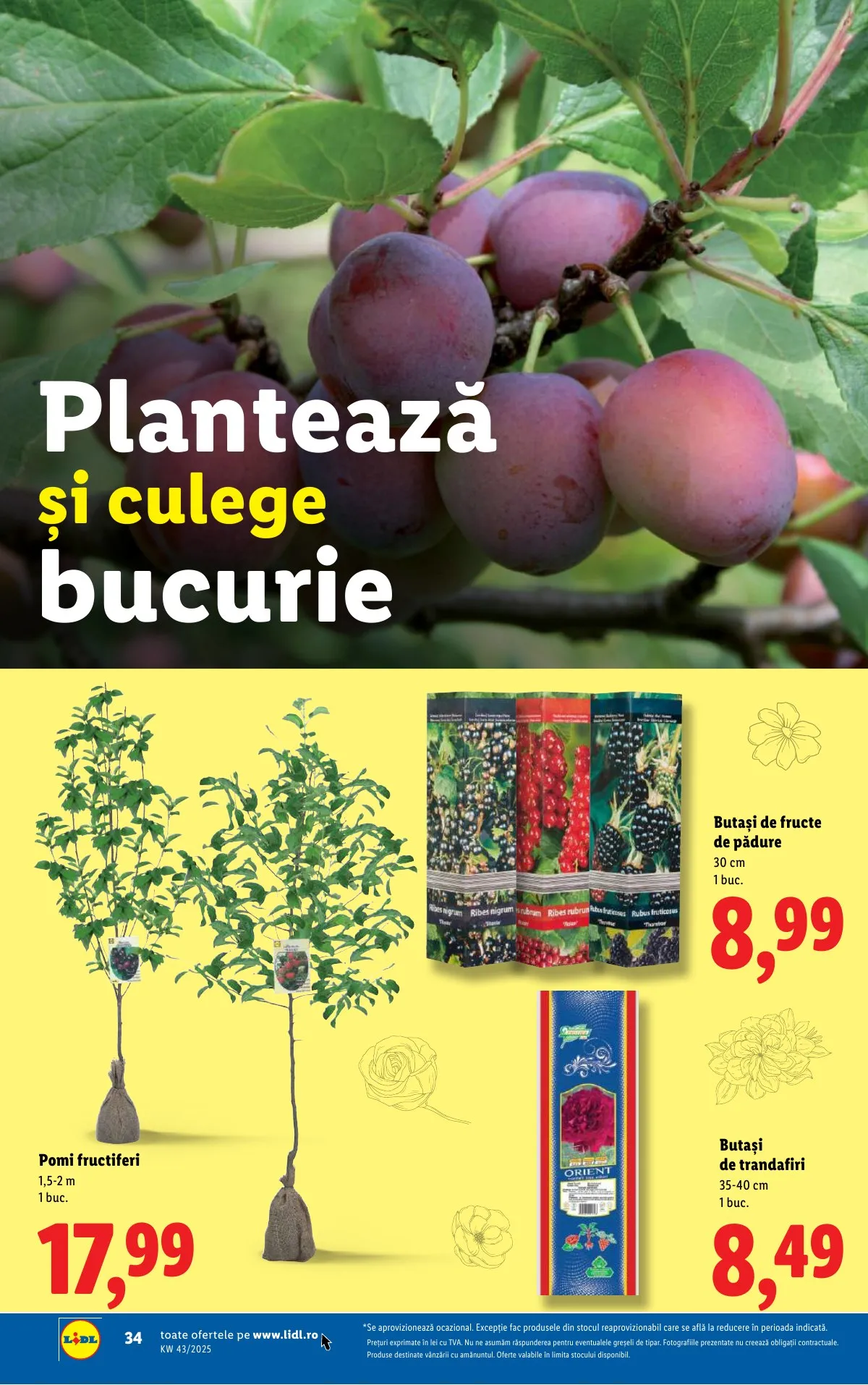 Lidl akciós újság Románia 10.20–10.26 – 34. oldal