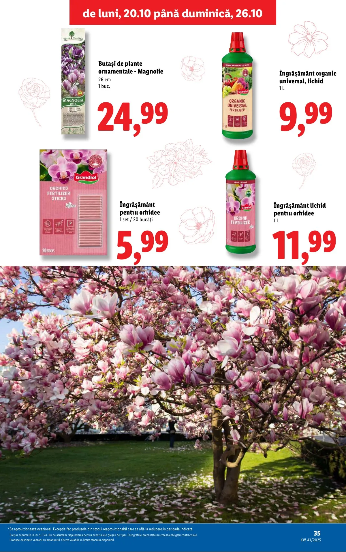 Lidl akciós újság Románia 10.20–10.26 – 35. oldal