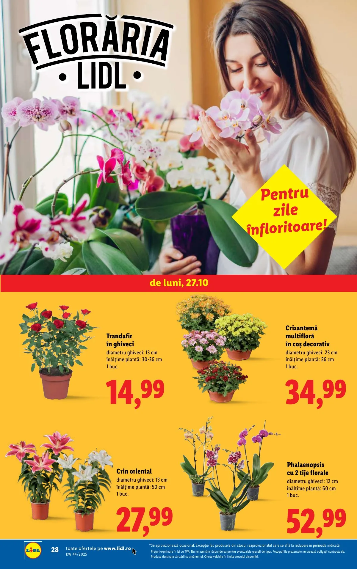 Lidl akciós újság Románia 10.27–11.02 – 28. oldal