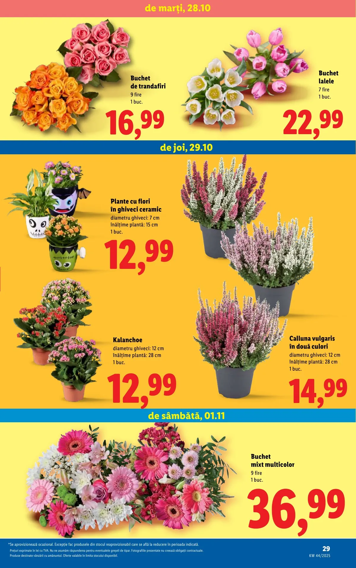 Lidl akciós újság Románia 10.27–11.02 – 29. oldal