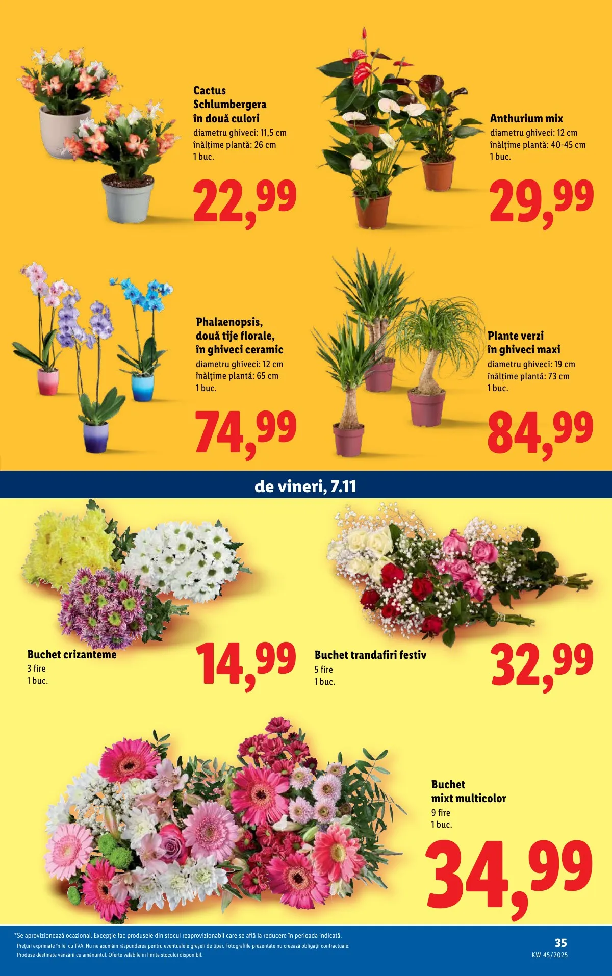 Lidl akciós újság Románia 11.03–11.09 – 35. oldal