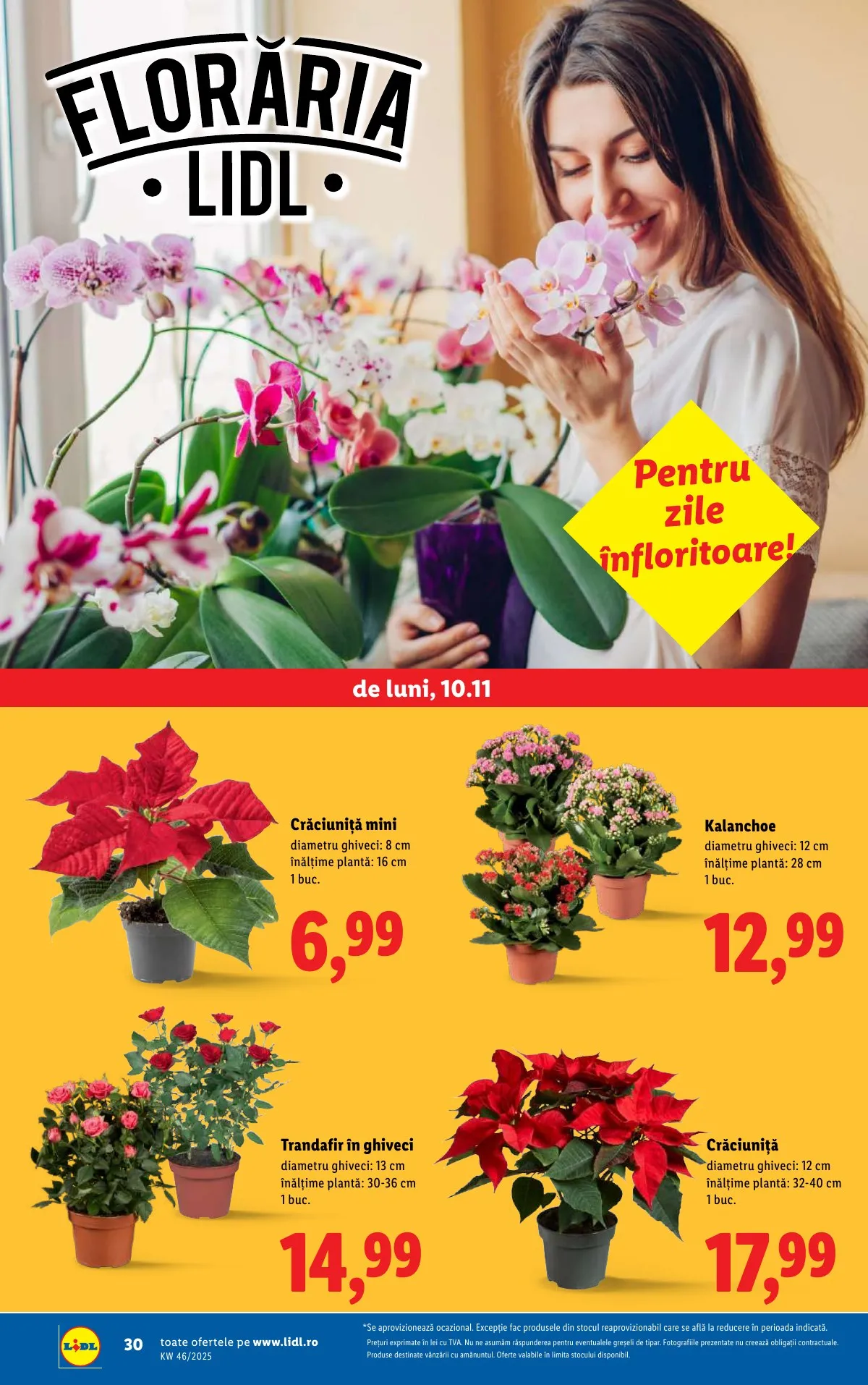 Lidl akciós újság Románia 11.10–11.16 – 30. oldal