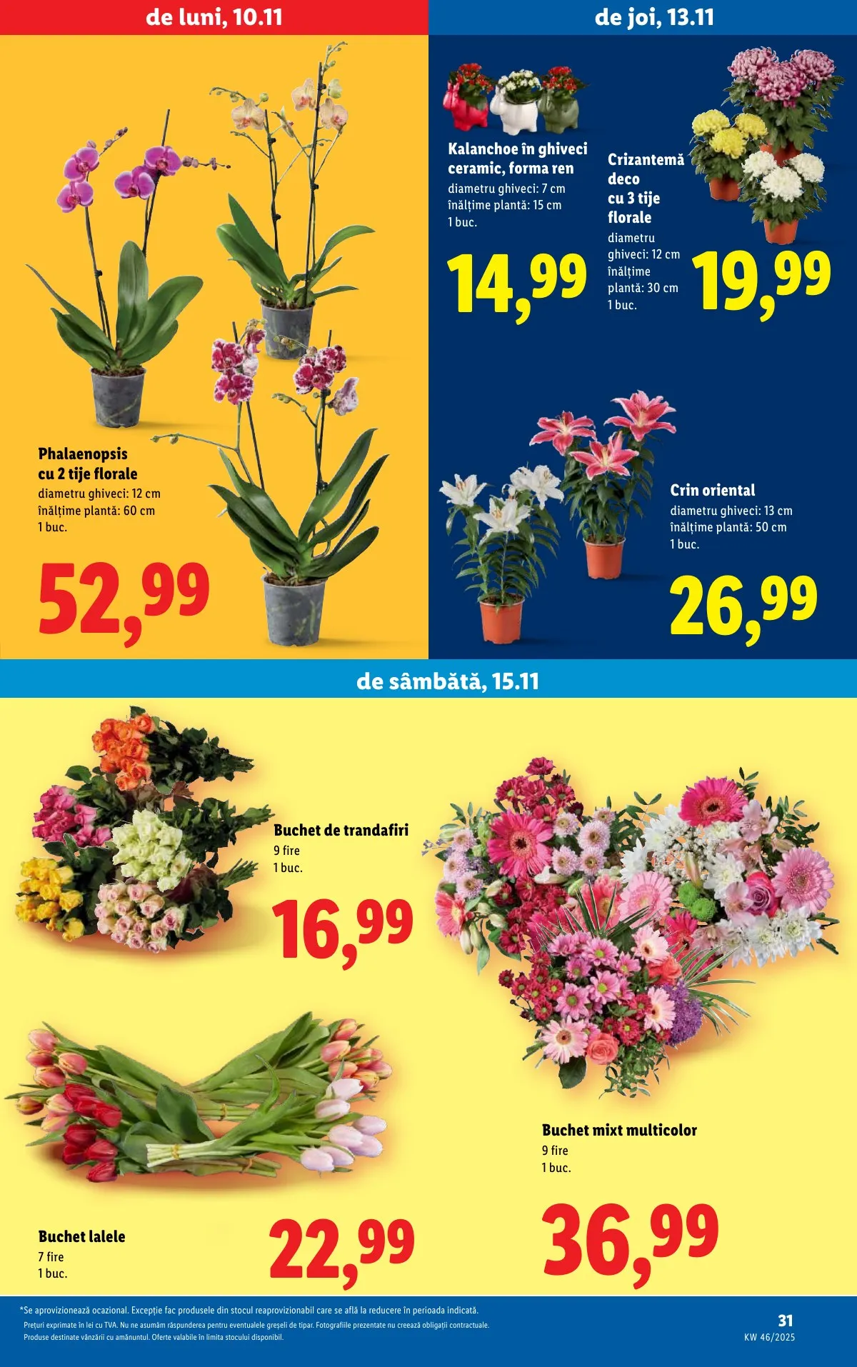 Lidl akciós újság Románia 11.10–11.16 – 31. oldal