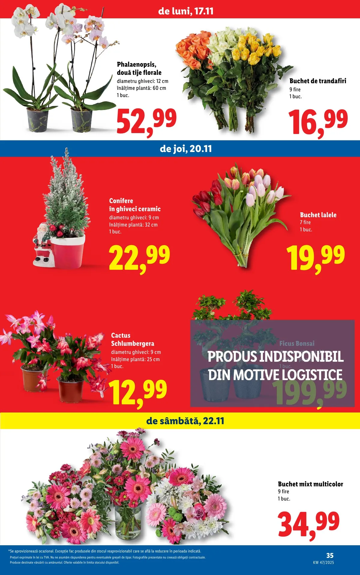 Lidl akciós újság Románia 11.17–11.23 – 35. oldal
