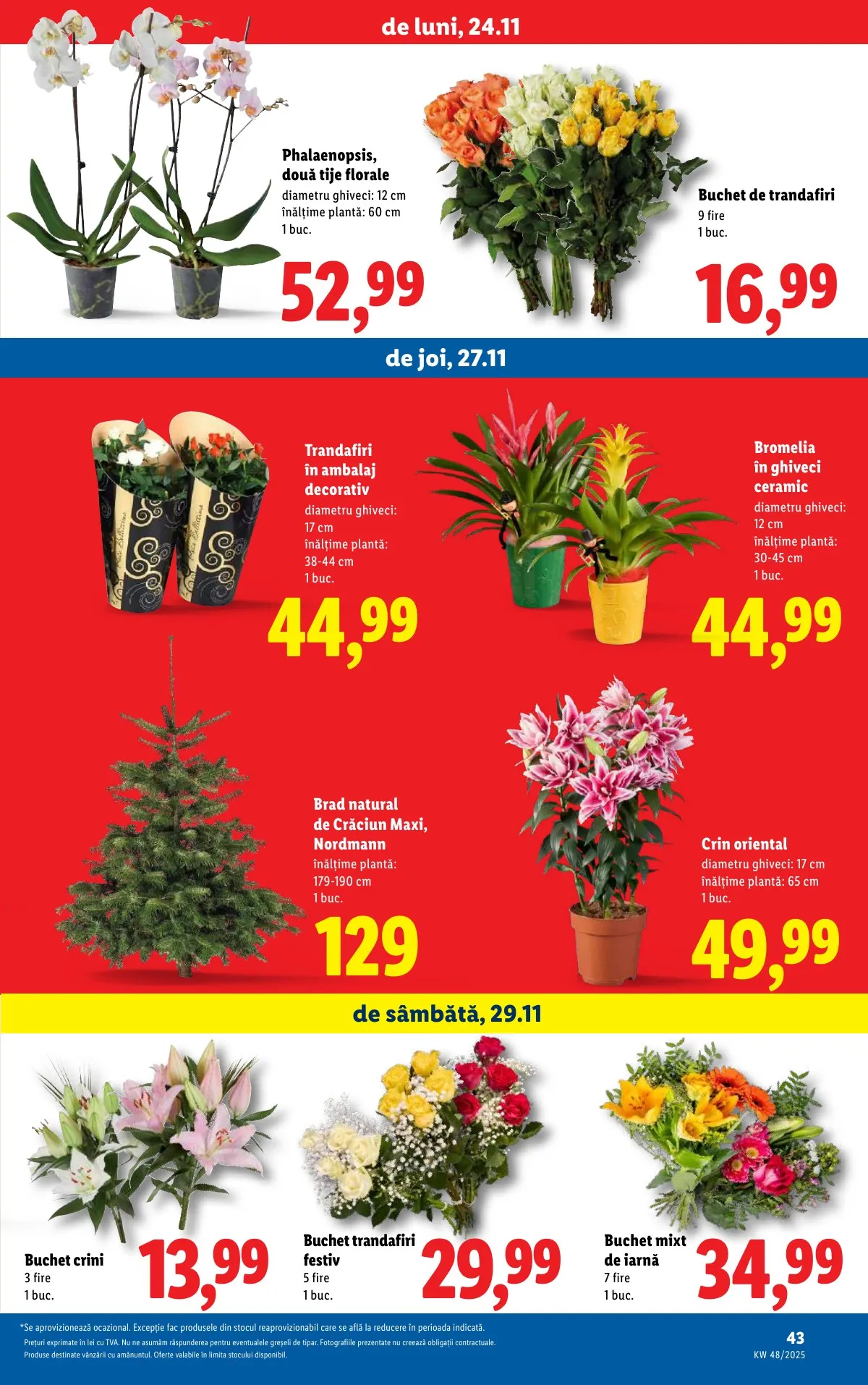 Lidl akciós újság Románia 11.24–11.30 – 43. oldal