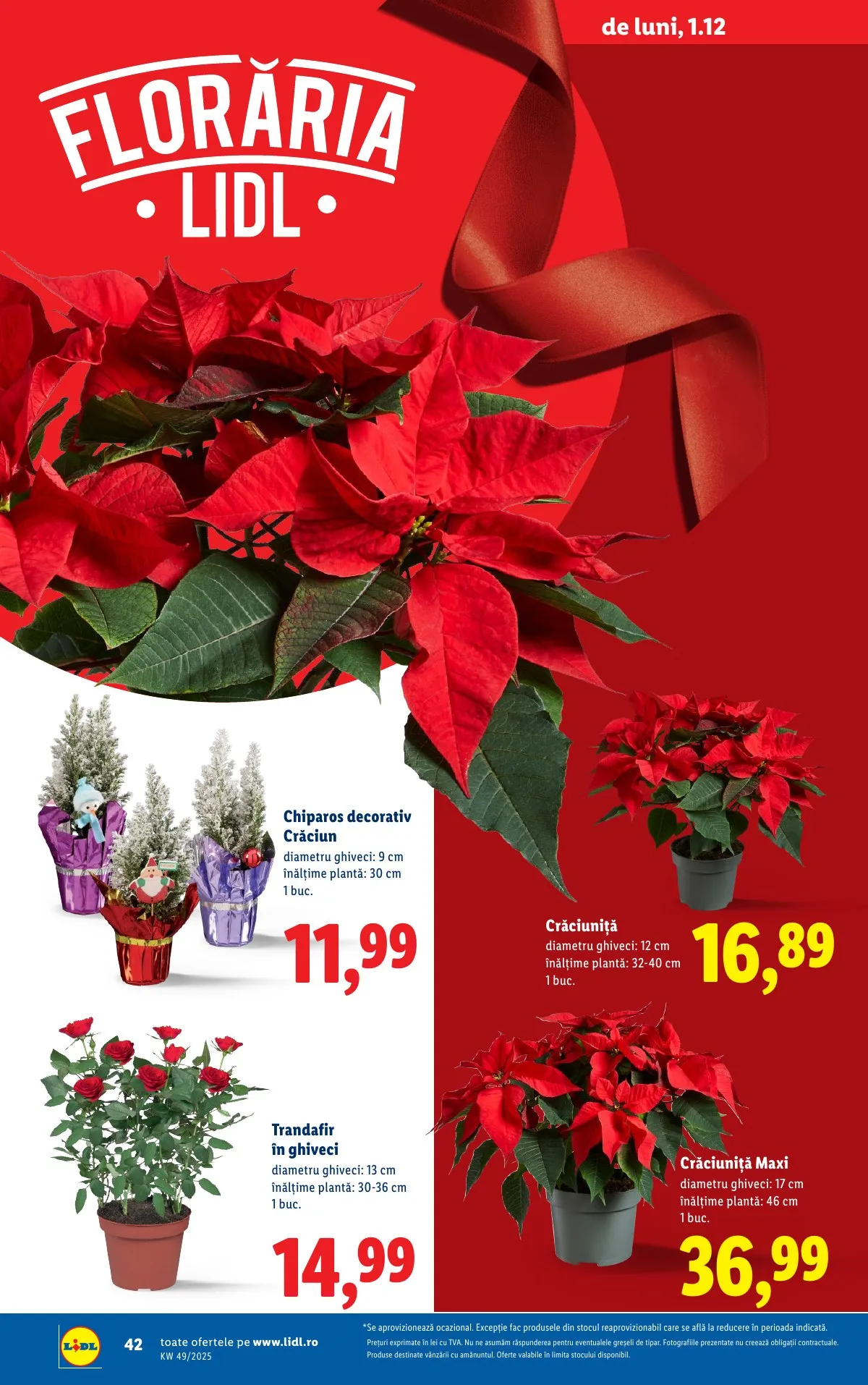 Lidl akciós újság Románia 12.01–12.07 – 42. oldal