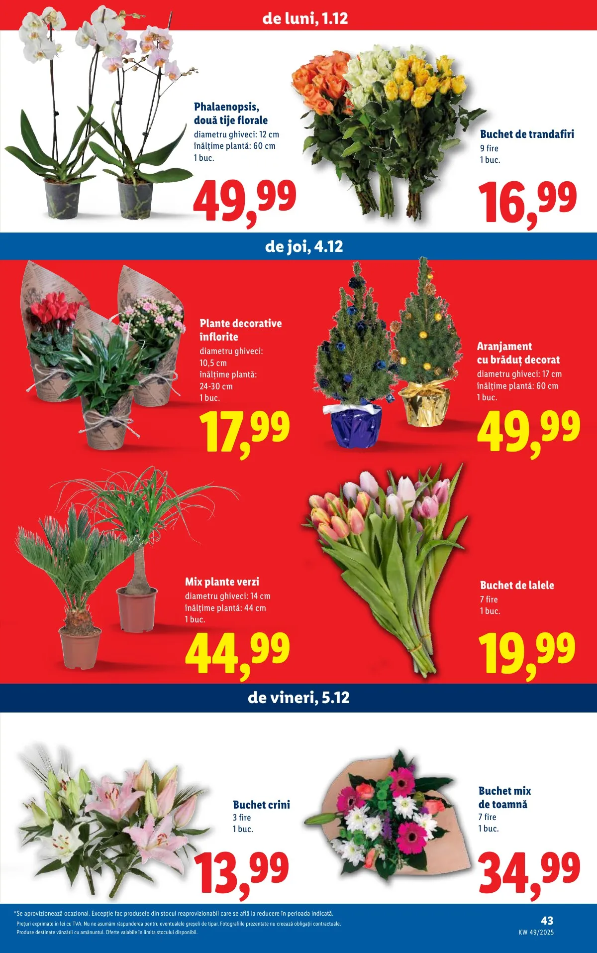 Lidl akciós újság Románia 12.01–12.07 – 43. oldal