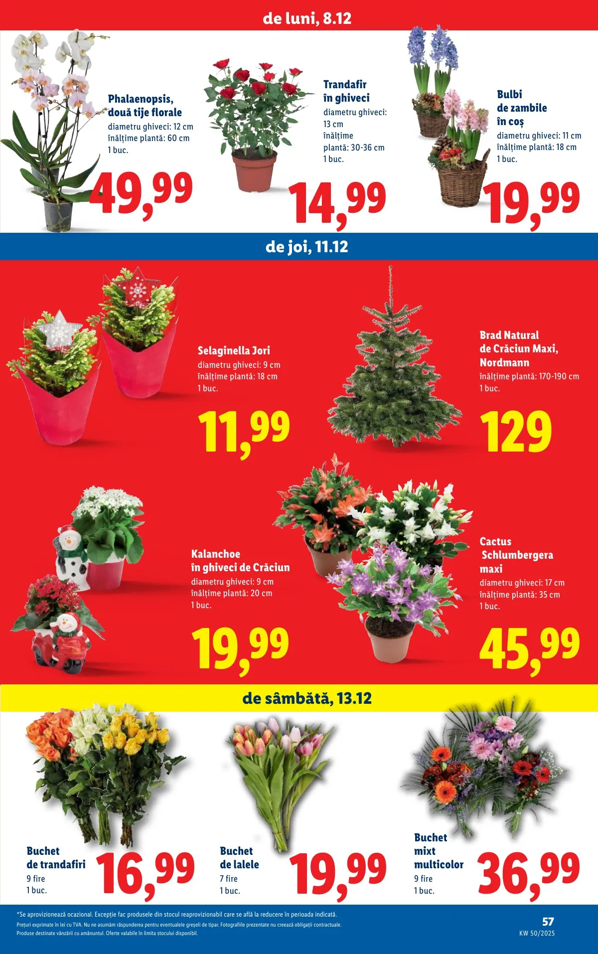 Lidl akciós újság Románia 12.08–12.14 – 57. oldal