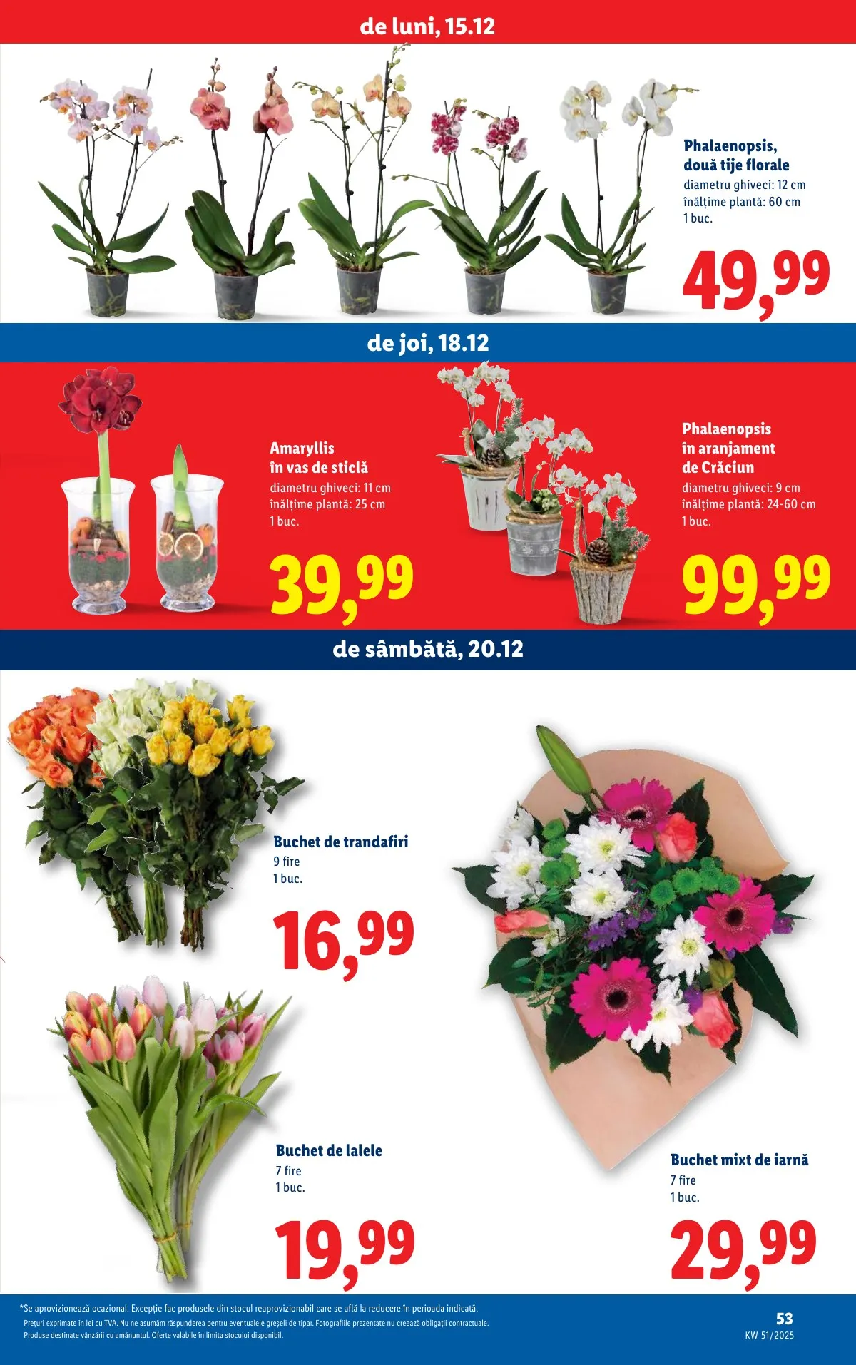 Lidl akciós újság Románia 12.15–12.21 – 53. oldal