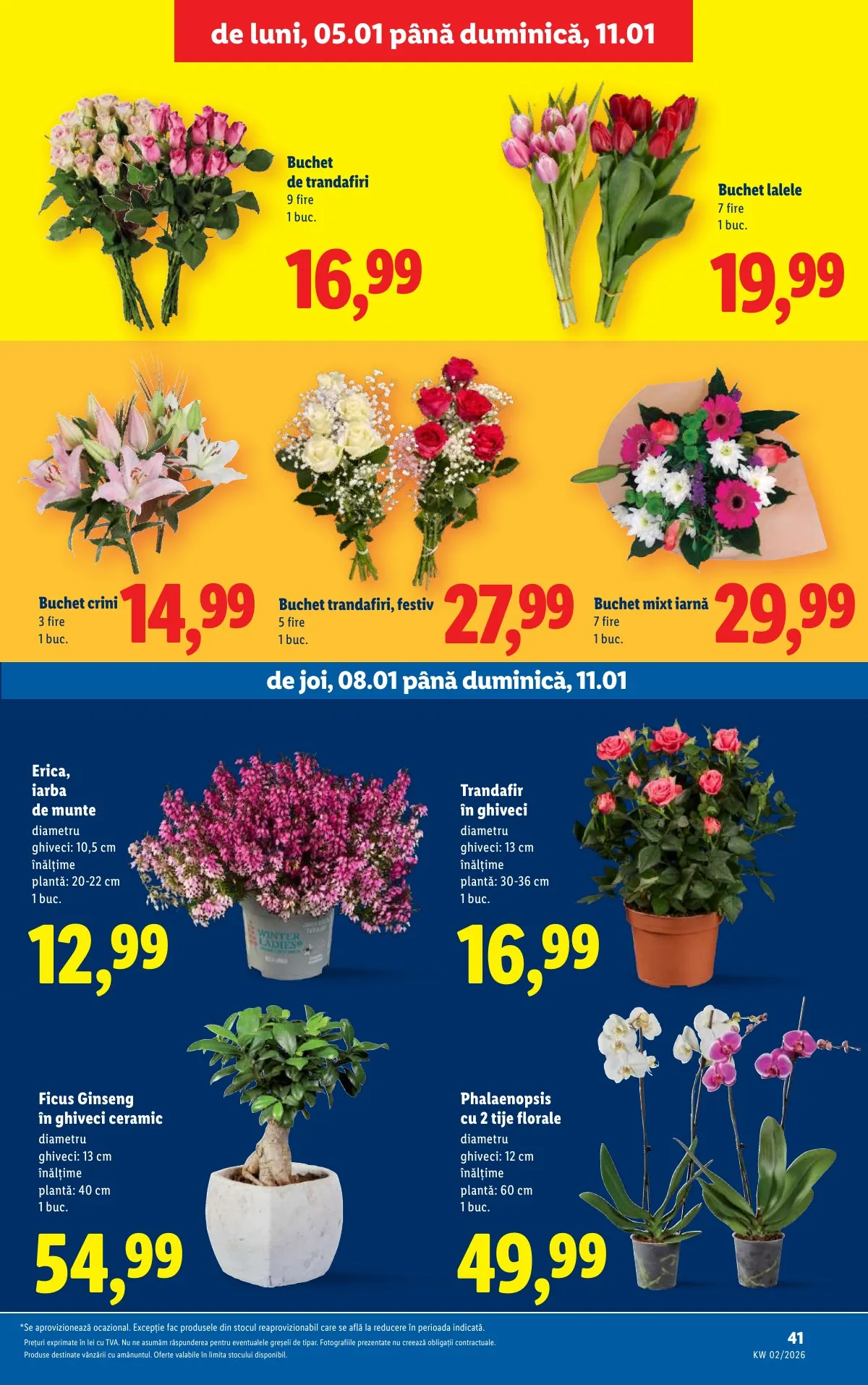 Lidl akciós újság Románia 01.05–01.11 – 41. oldal