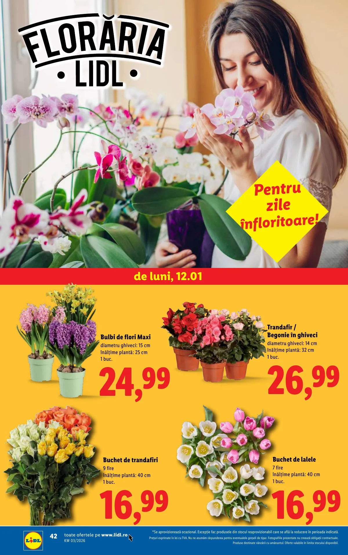 Lidl akciós újság Románia 01.12–01.18 – 42. oldal