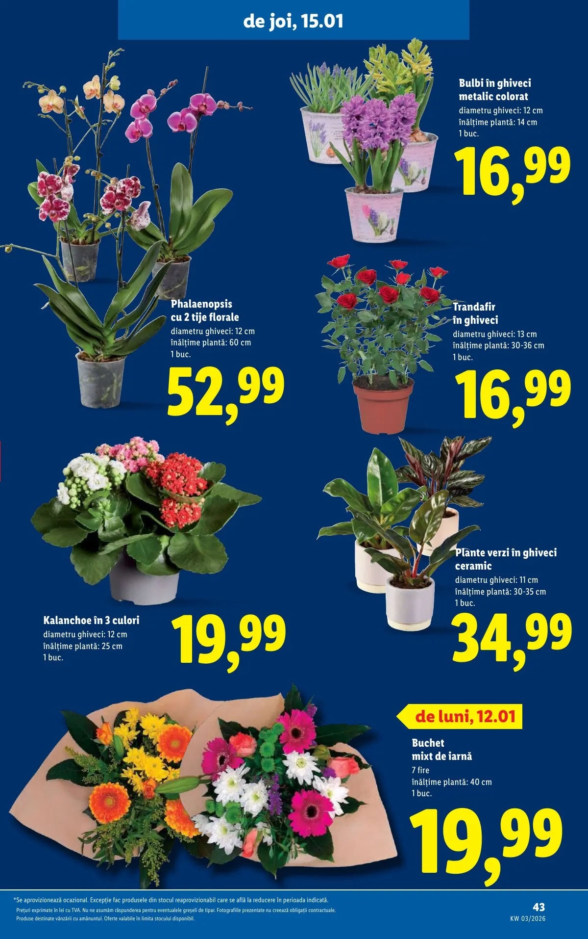 Lidl akciós újság Románia 01.12–01.18 – 43. oldal
