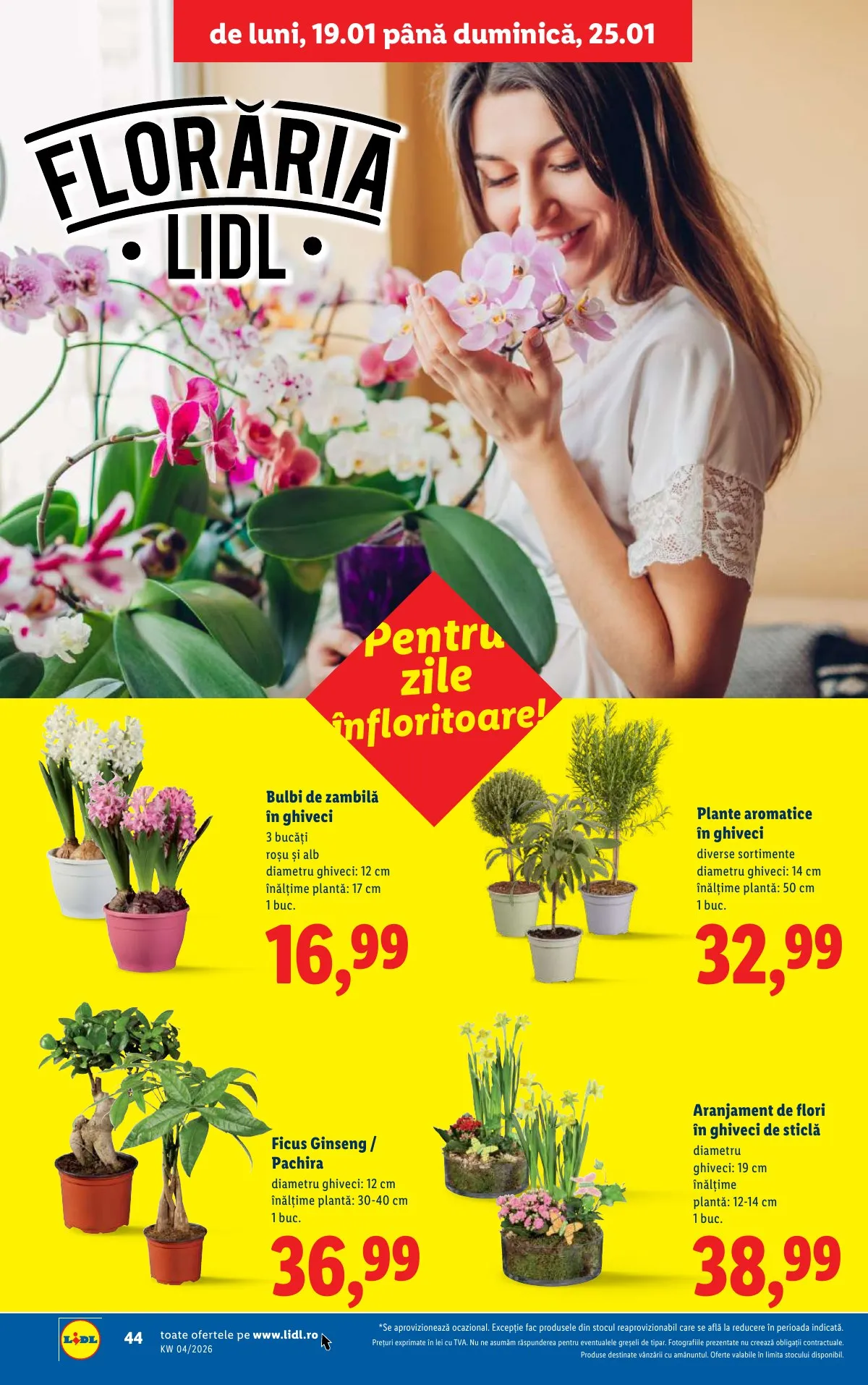 Lidl akciós újság Románia 01.19–01.25 – 44. oldal