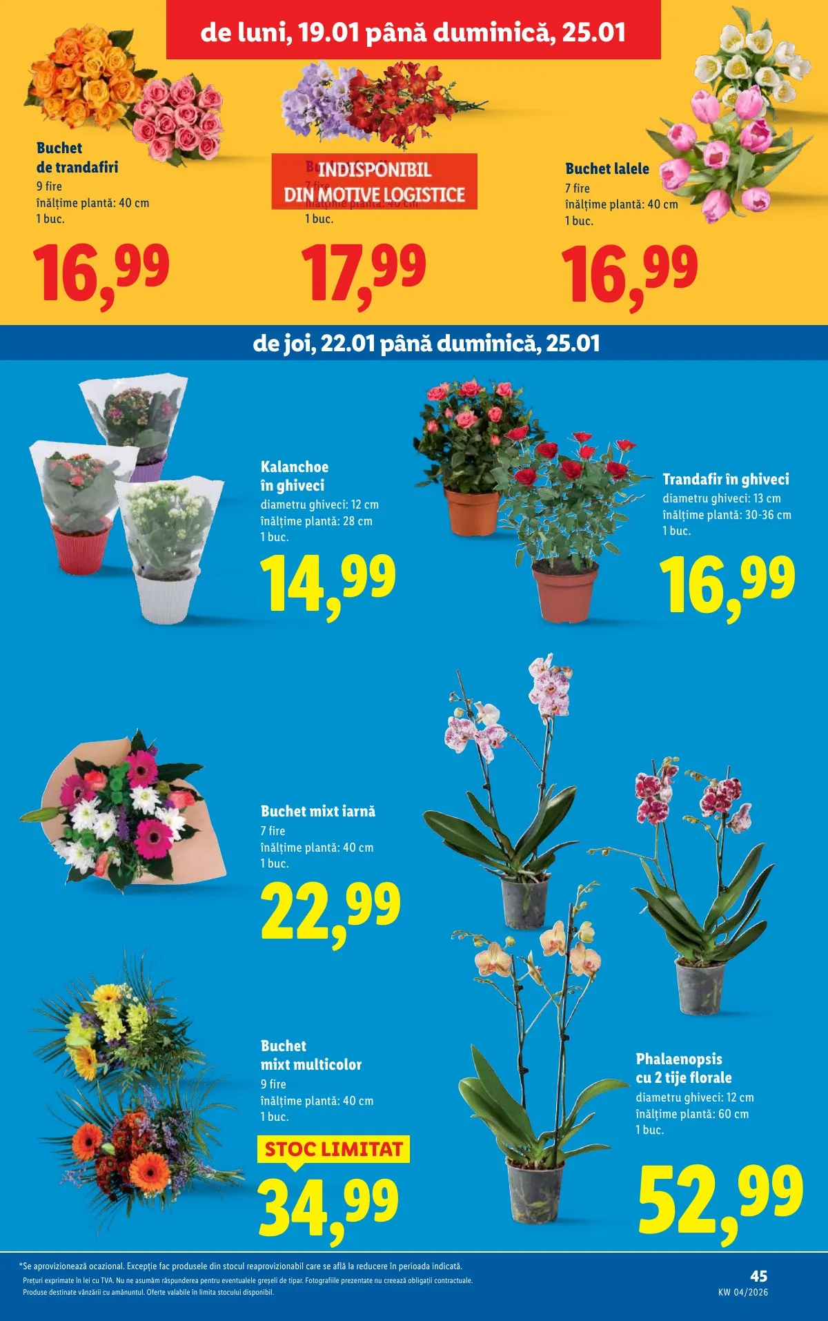 Lidl akciós újság Románia 01.19–01.25 – 45. oldal