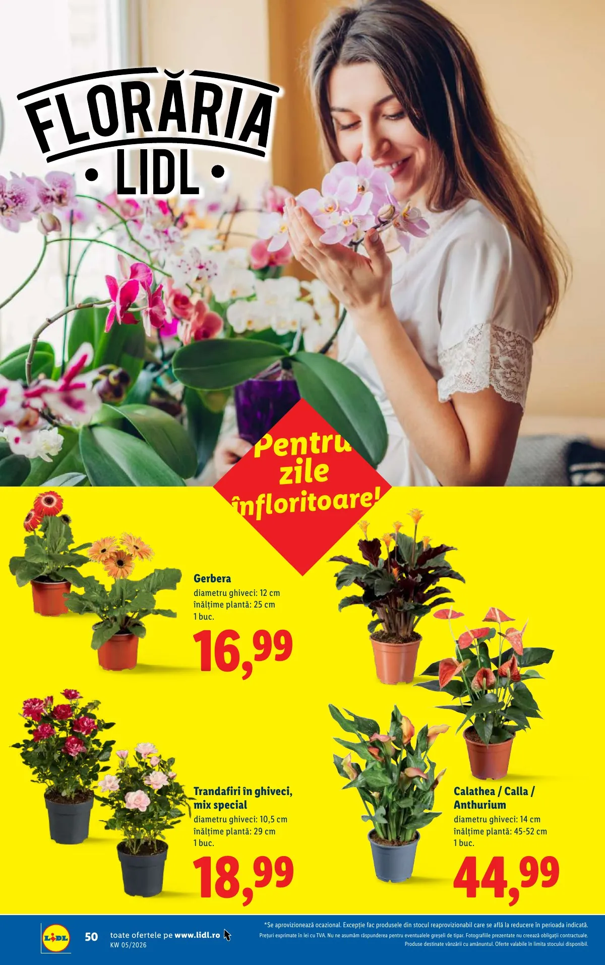 Lidl akciós újság Románia 01.26–02.01 – 50. oldal