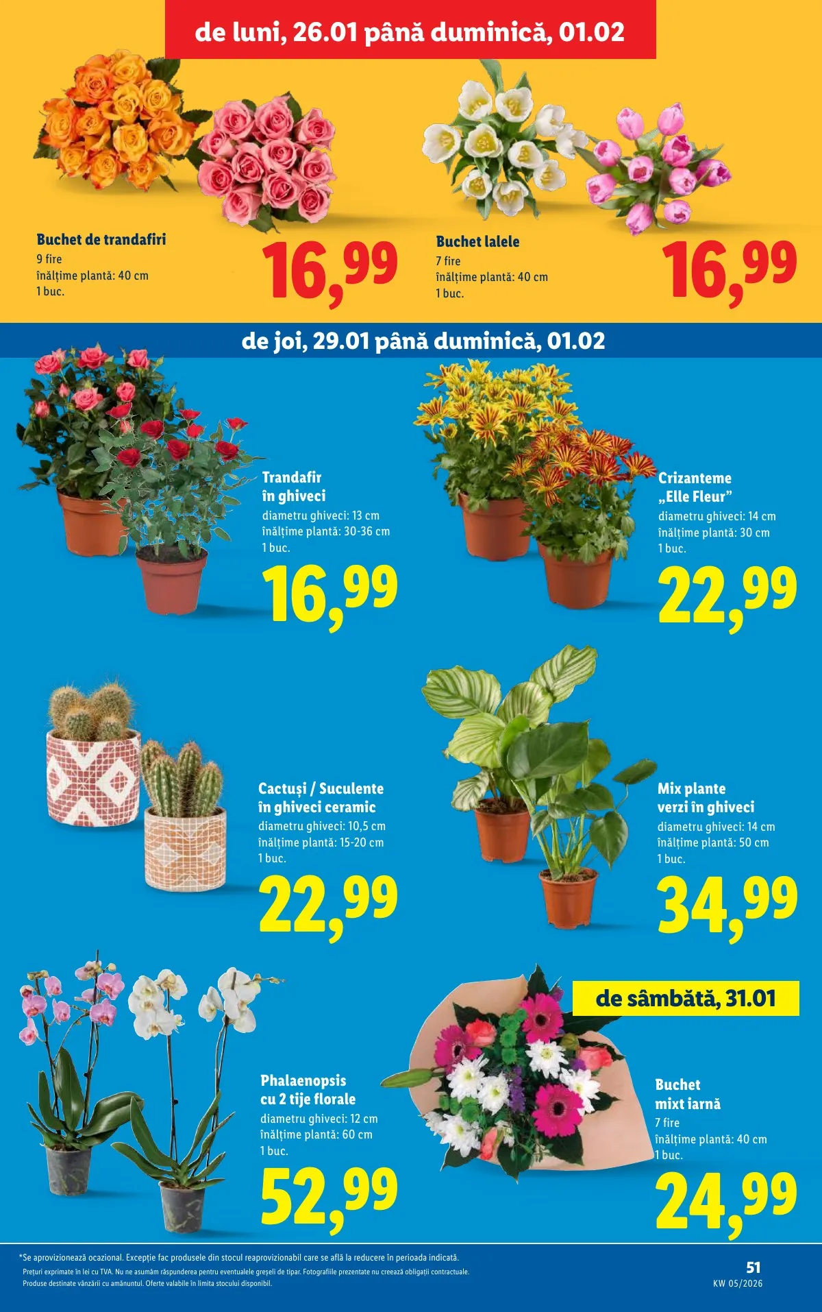 Lidl akciós újság Románia 01.26–02.01 – 51. oldal