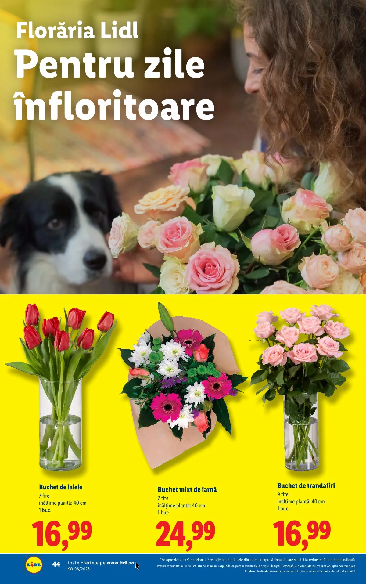 Lidl akciós újság Románia 02.02–02.08 – 44. oldal