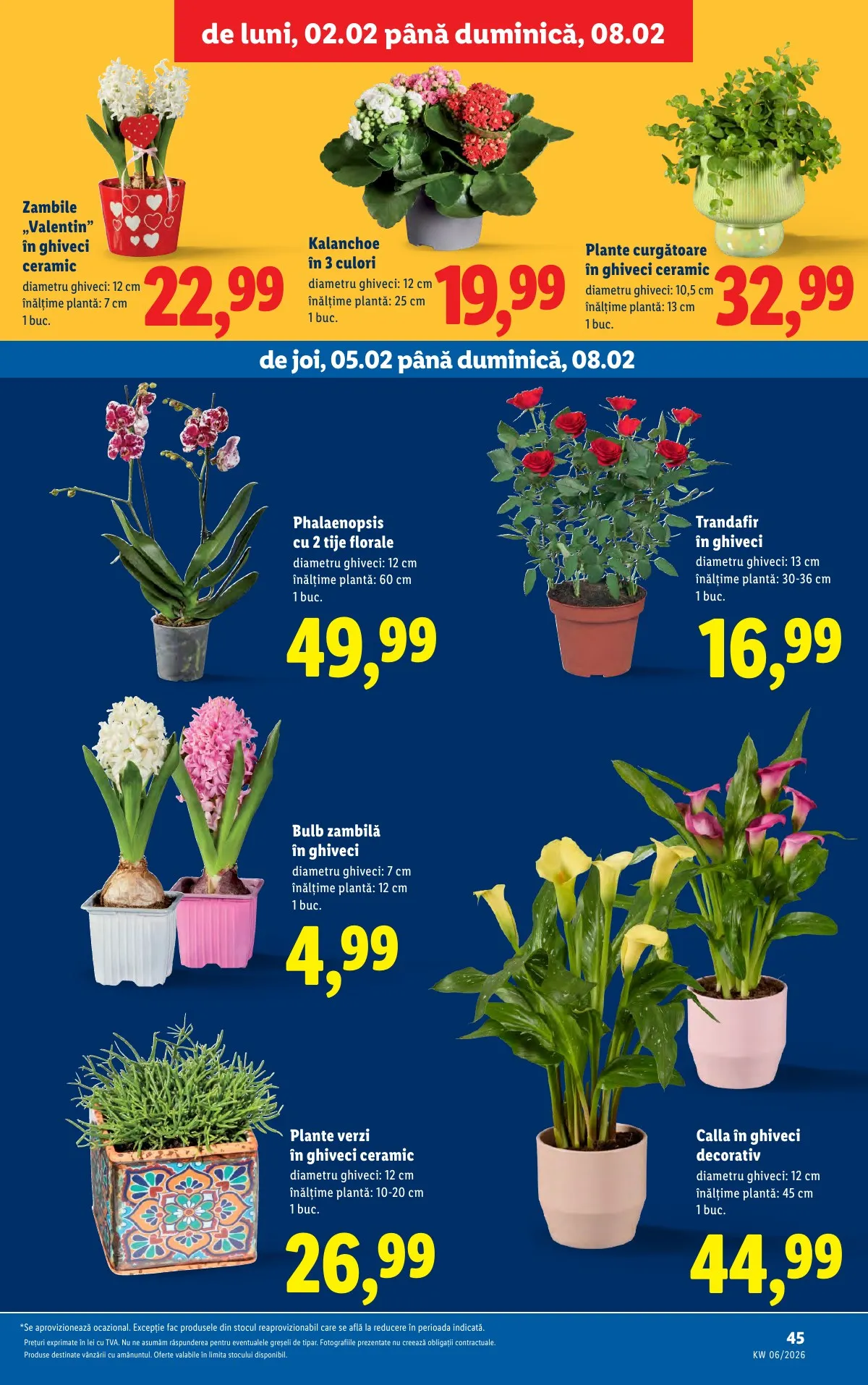 Lidl akciós újság Románia 02.02–02.08 – 45. oldal