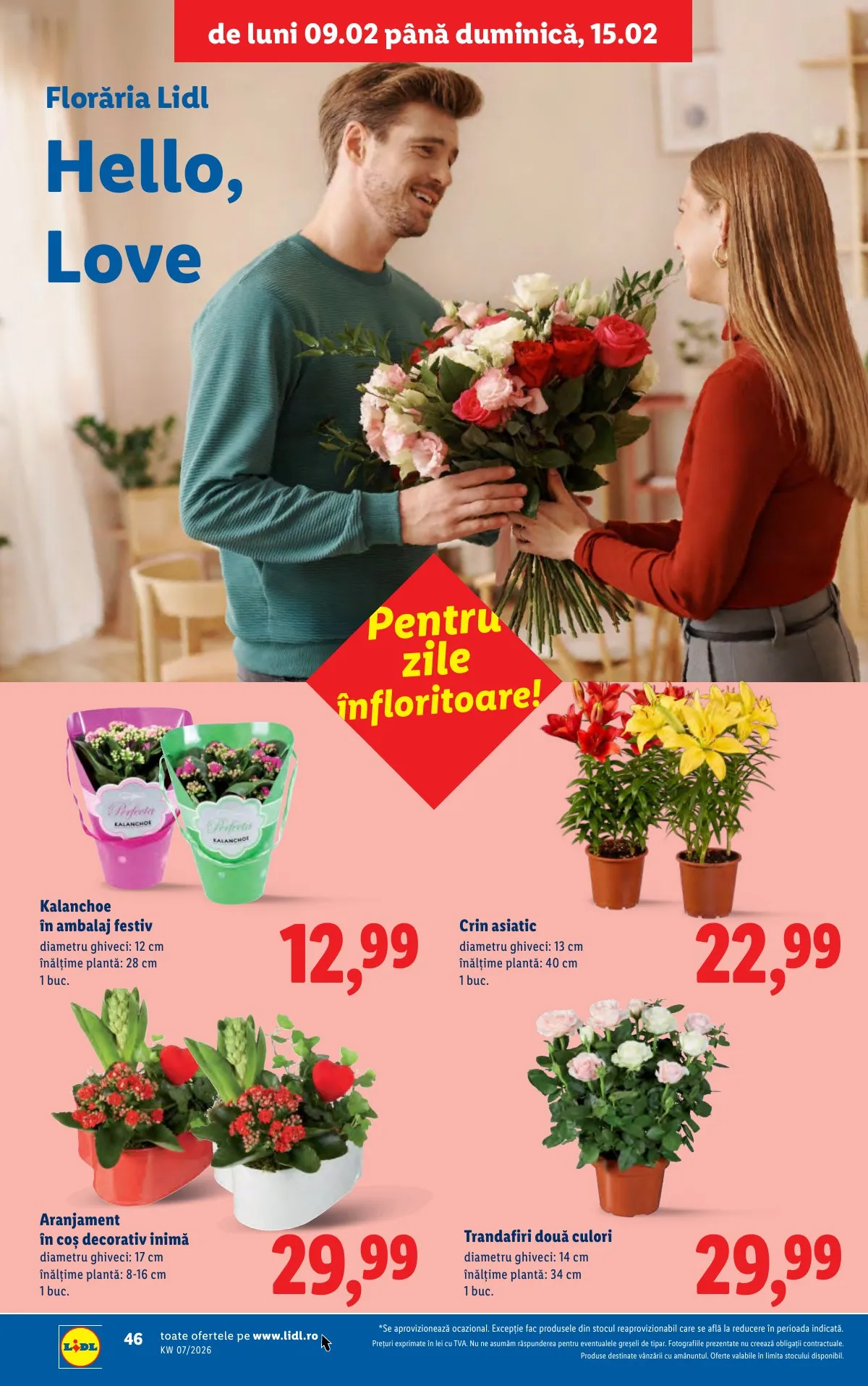 Lidl akciós újság Románia 02.09–02.15 – 46. oldal