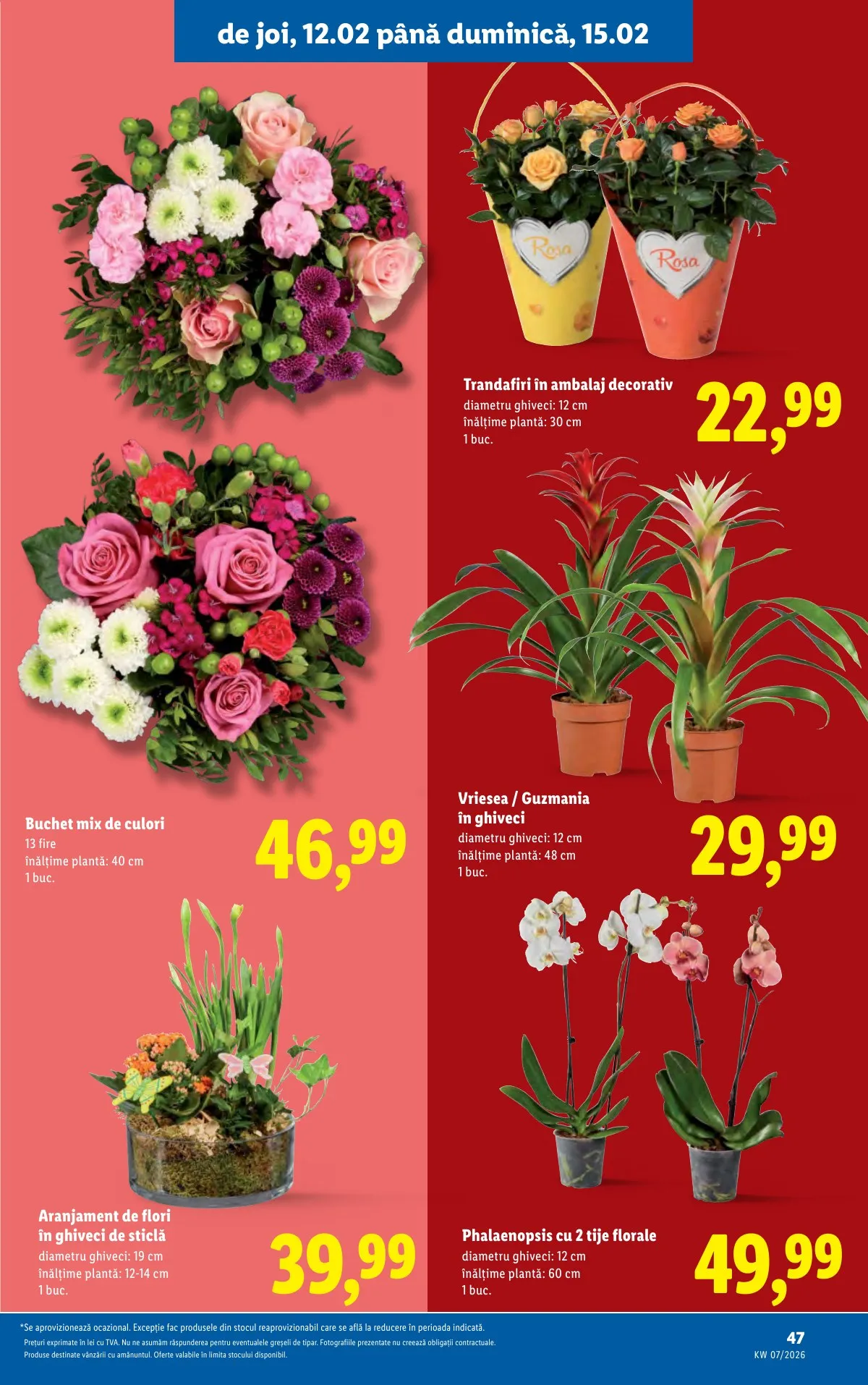 Lidl akciós újság Románia 02.09–02.15 – 47. oldal