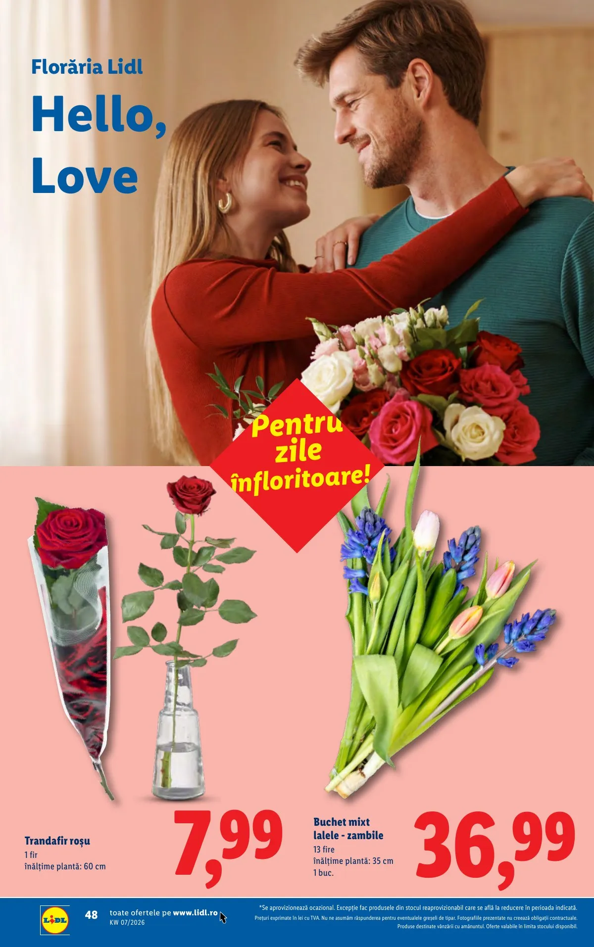 Lidl akciós újság Románia 02.09–02.15 – 48. oldal