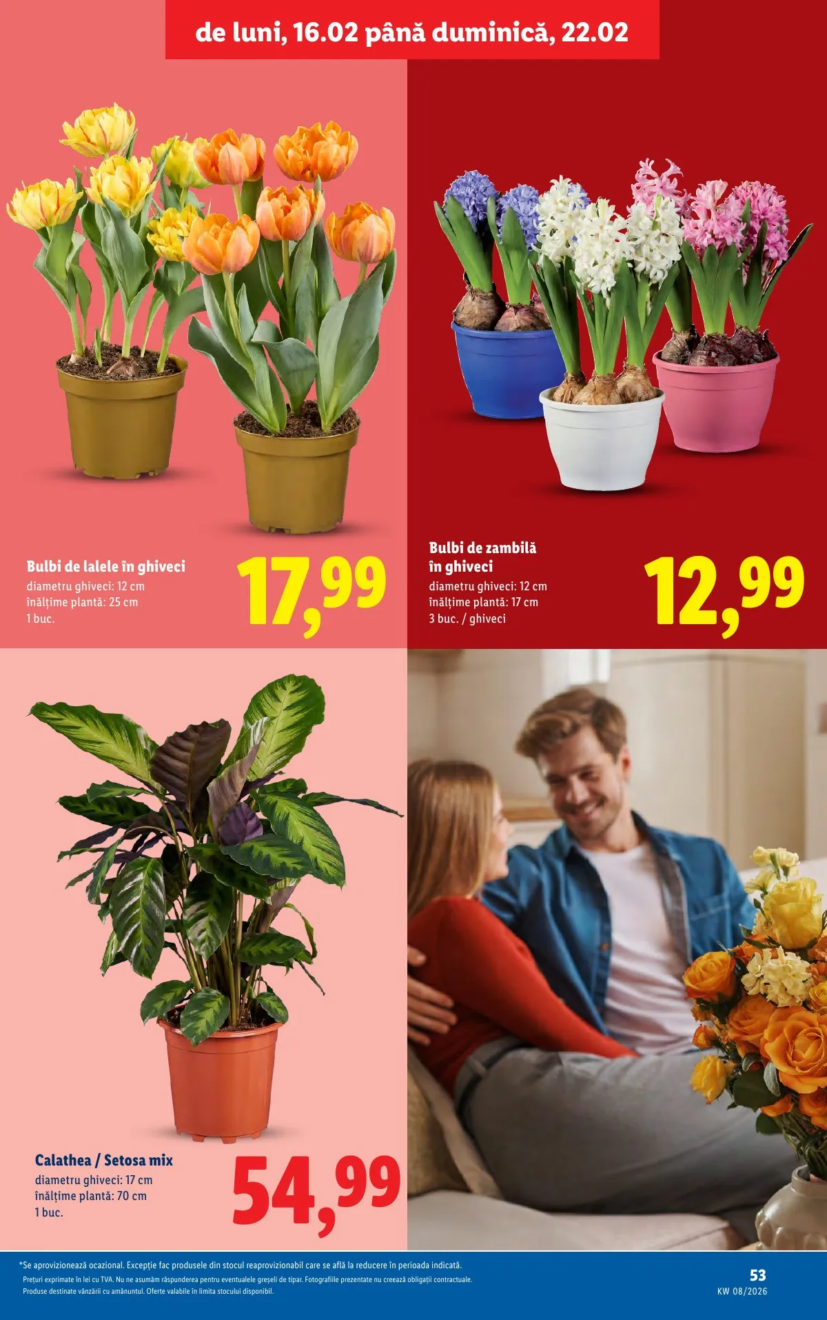 Lidl akciós újság Románia 02.16–02.22 – 53. oldal