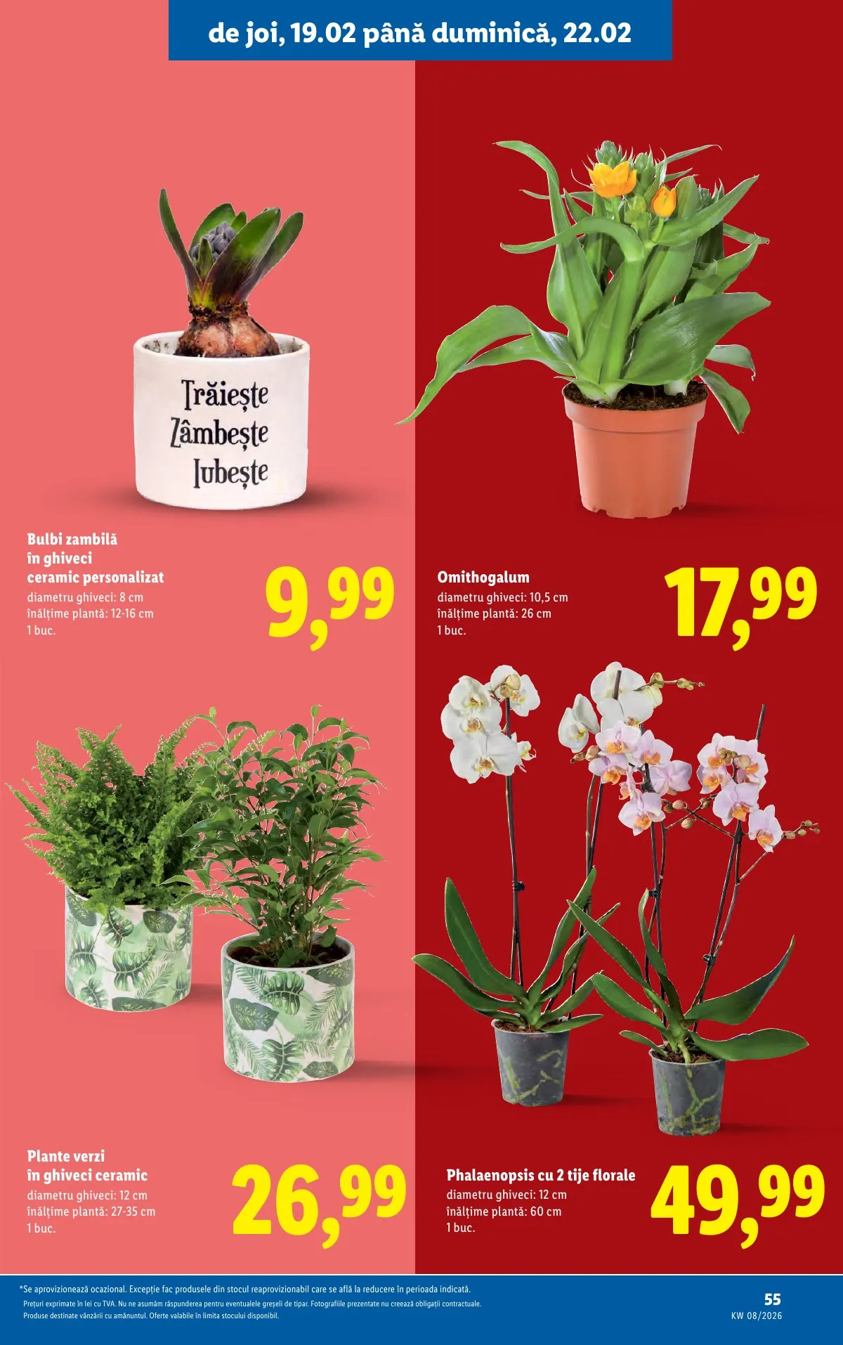 Lidl akciós újság Románia 02.16–02.22 – 55. oldal