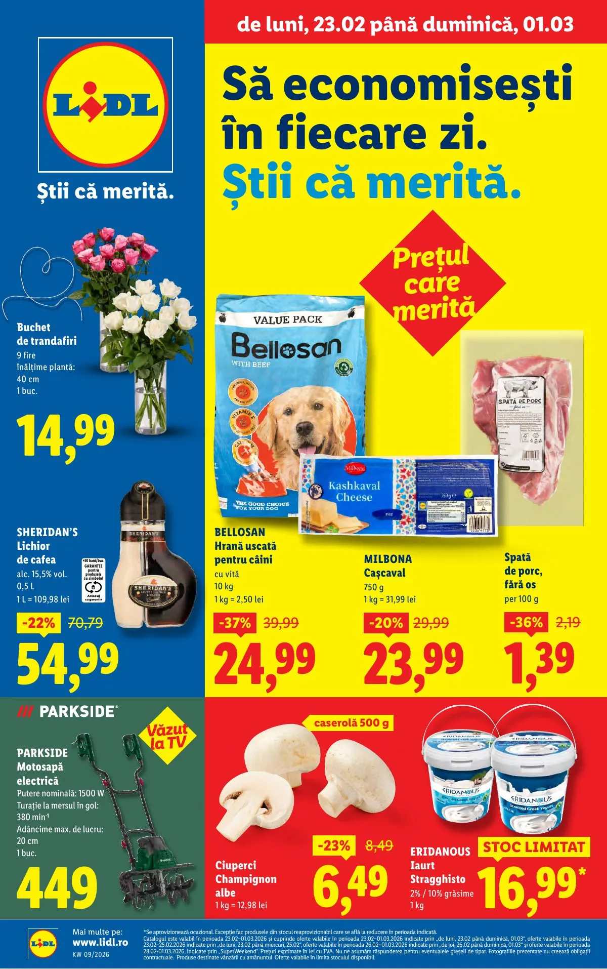 Lidl akciós újság Románia 02.23–03.01