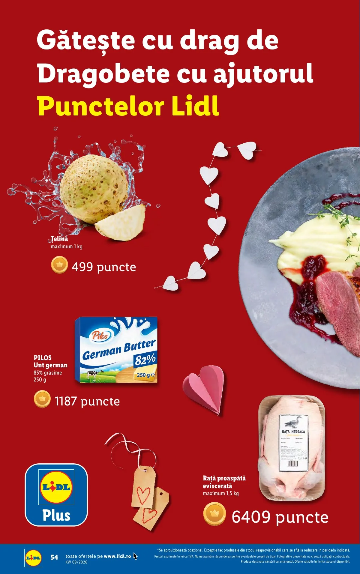 Lidl akciós újság Románia 02.23–03.01 – 54. oldal