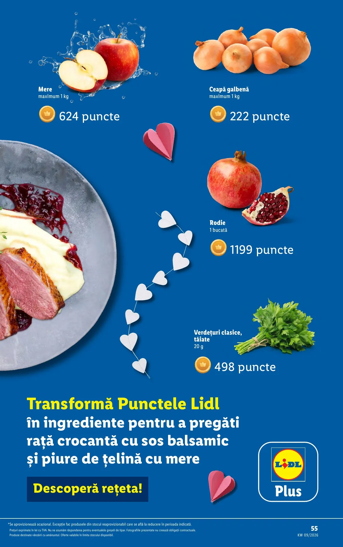Lidl akciós újság Románia 02.23–03.01 – 55. oldal