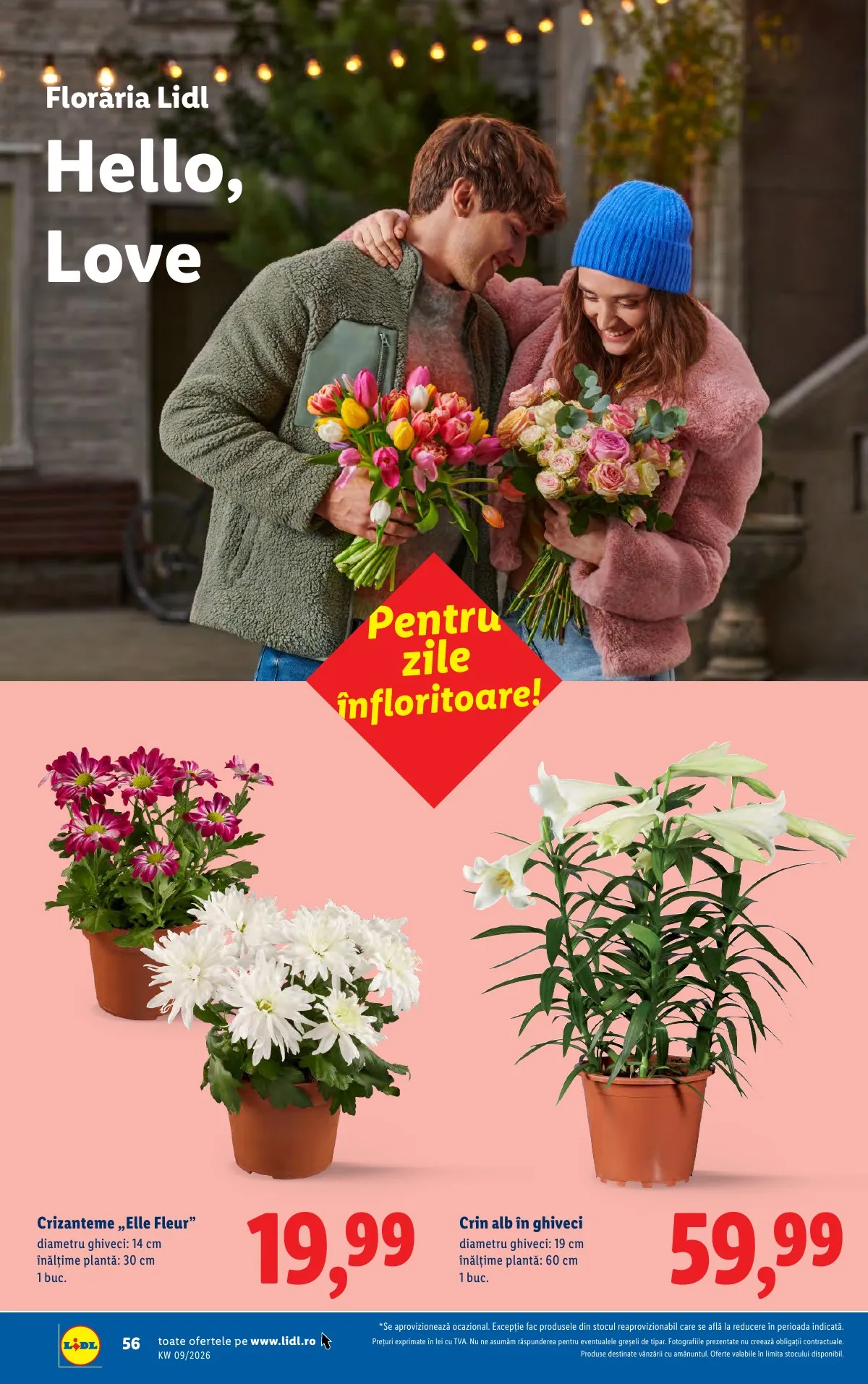 Lidl akciós újság Románia 02.23–03.01 – 56. oldal