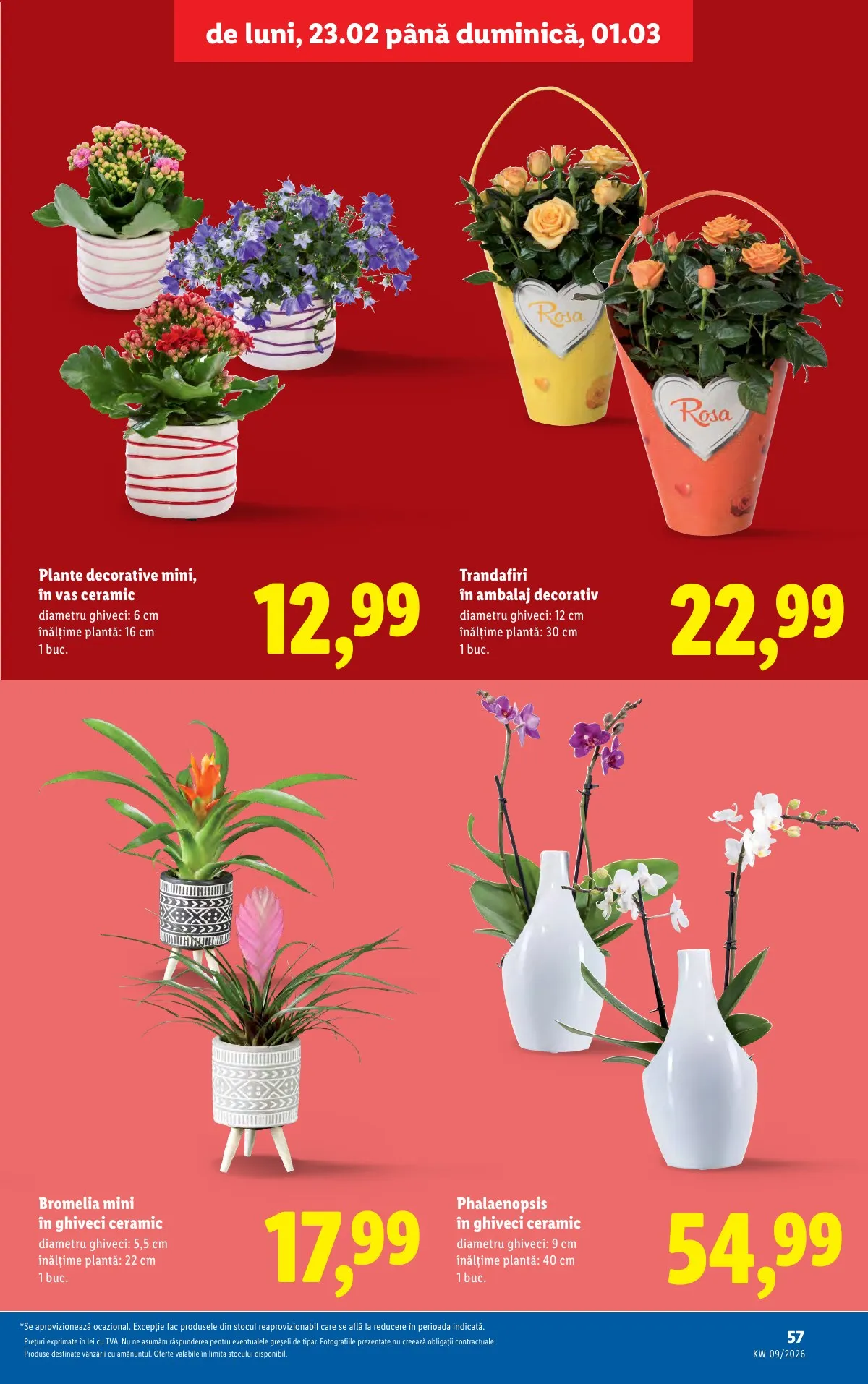 Lidl akciós újság Románia 02.23–03.01 – 57. oldal