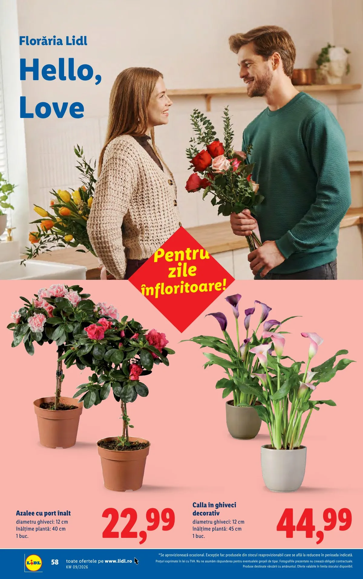 Lidl akciós újság Románia 02.23–03.01 – 58. oldal