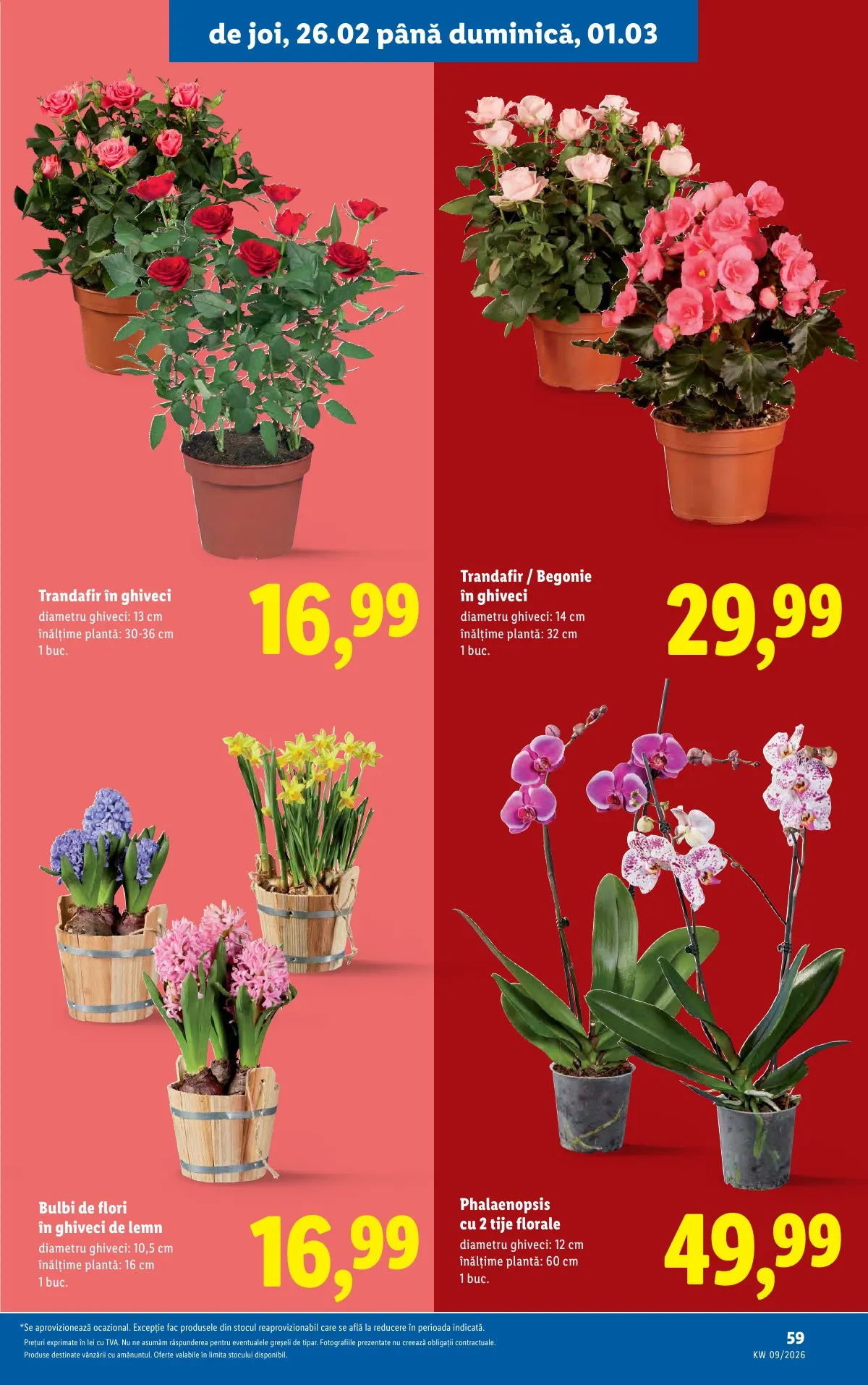 Lidl akciós újság Románia 02.23–03.01 – 59. oldal