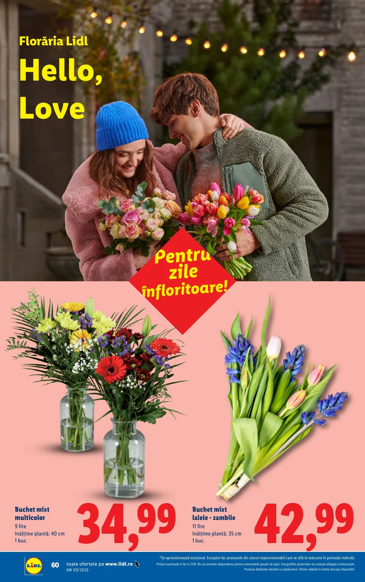 Lidl akciós újság Románia 02.23–03.01 – 60. oldal