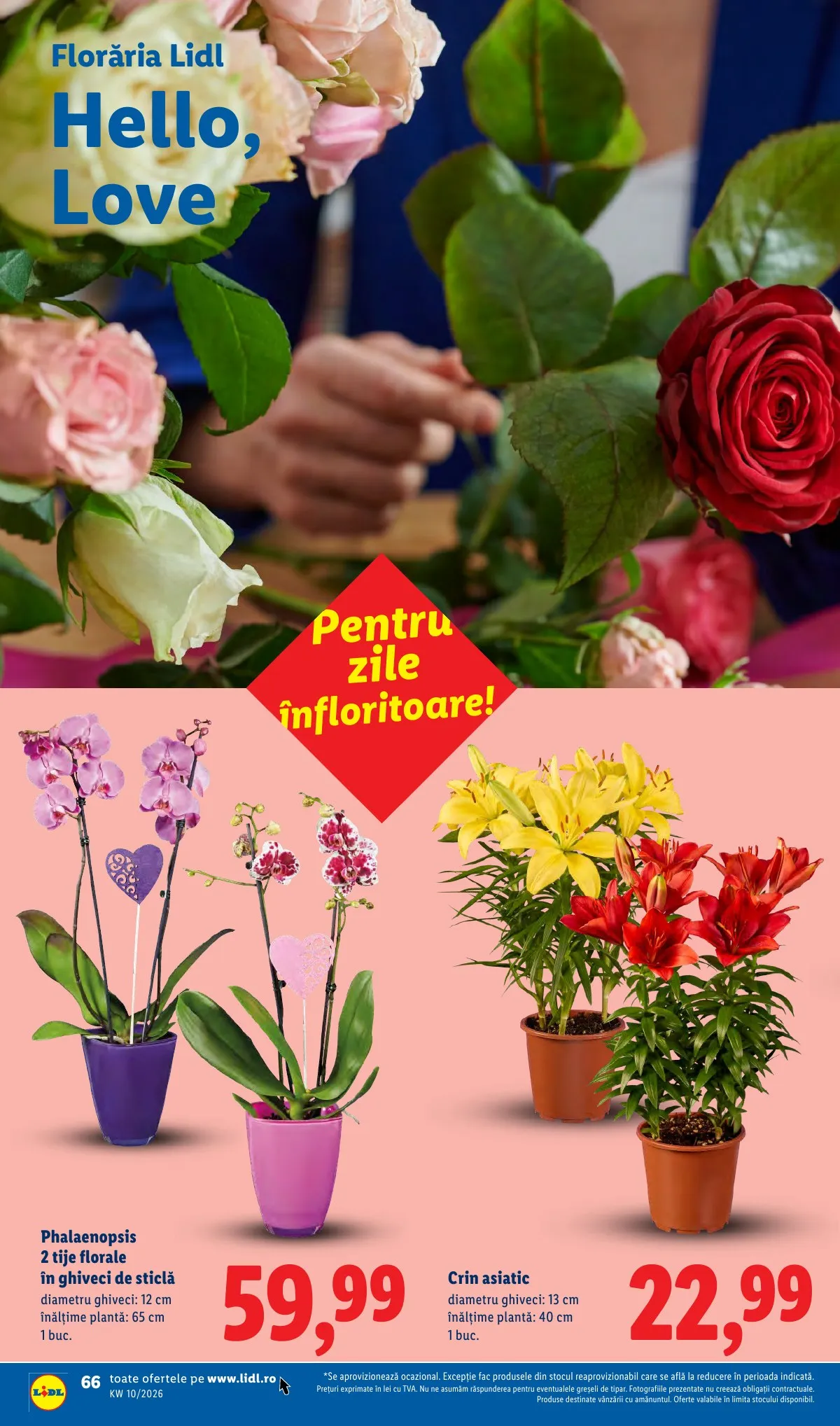 Lidl akciós újság Románia 03.02–03.08 – 66. oldal