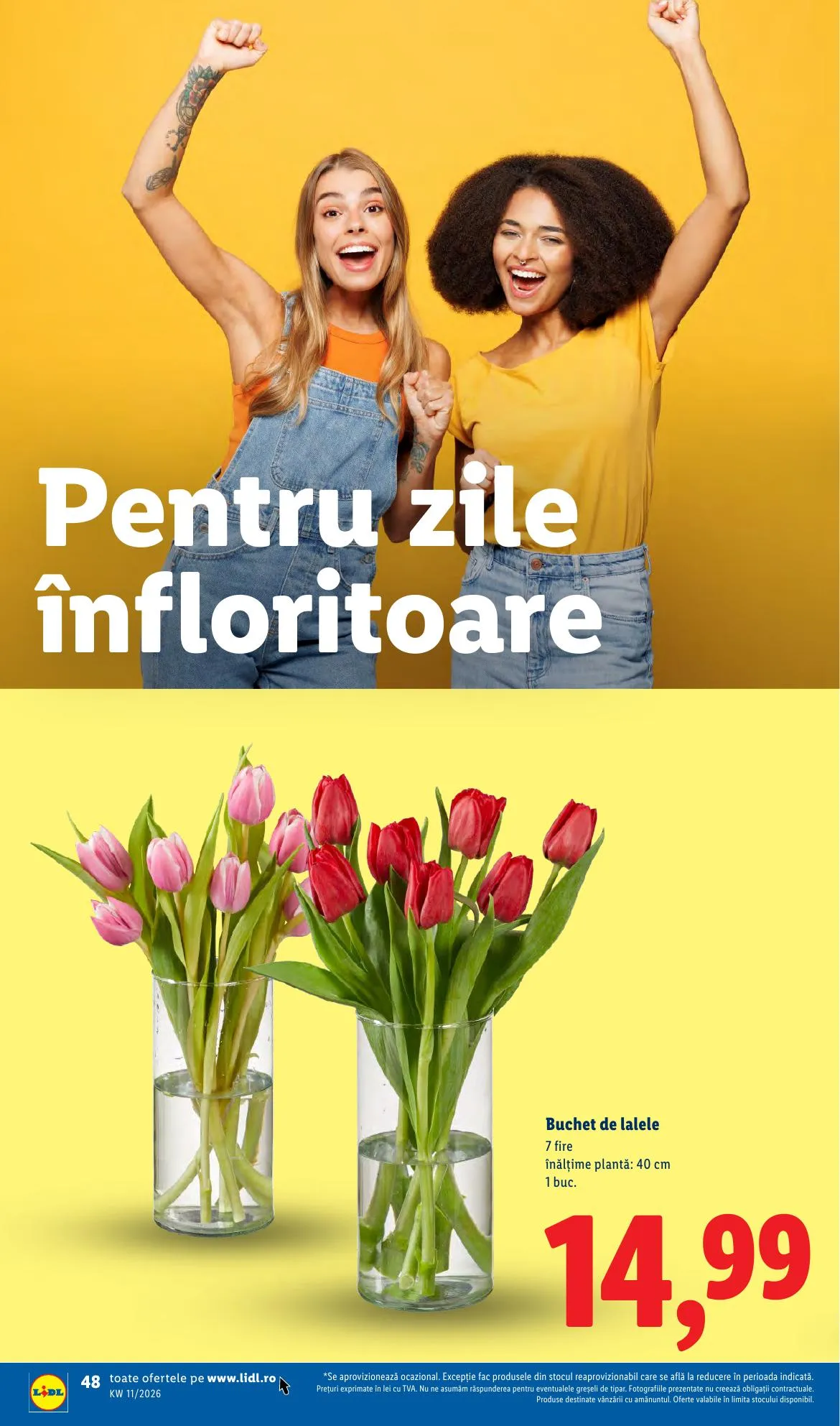 Lidl akciós újság Románia 03.09–03.15 – 48. oldal