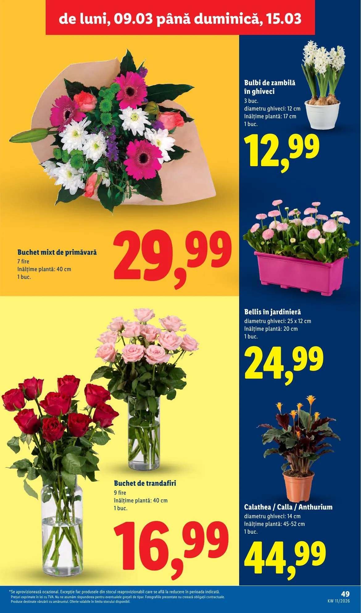 Lidl akciós újság Románia 03.09–03.15 – 49. oldal