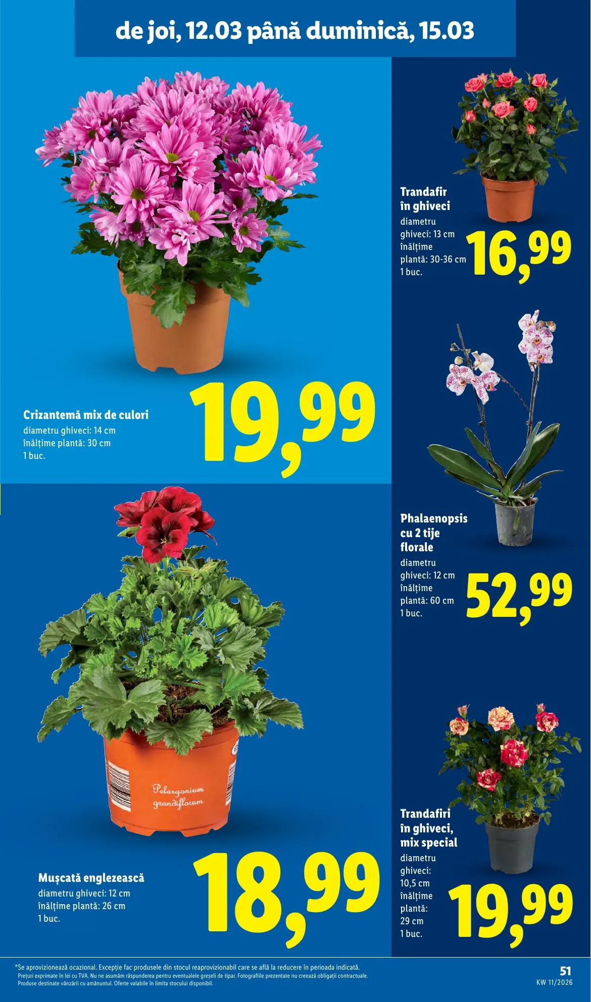 Lidl akciós újság Románia 03.09–03.15 – 51. oldal