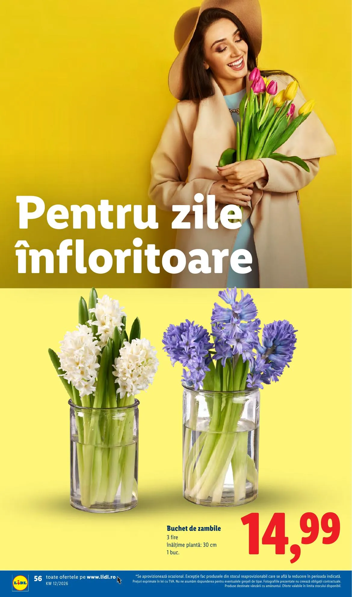 Lidl akciós újság Románia 03.16–03.22 – 56. oldal