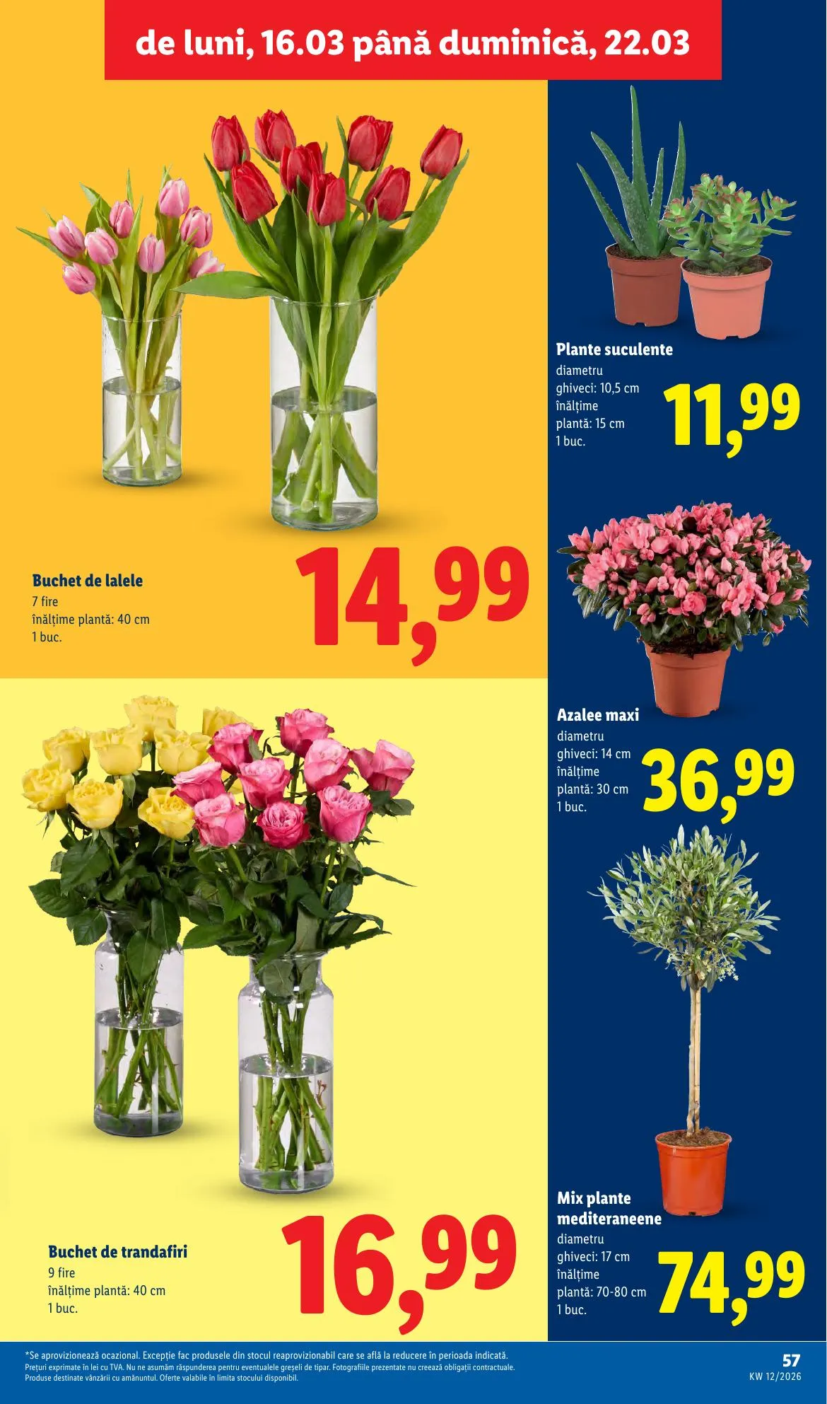 Lidl akciós újság Románia 03.16–03.22 – 57. oldal